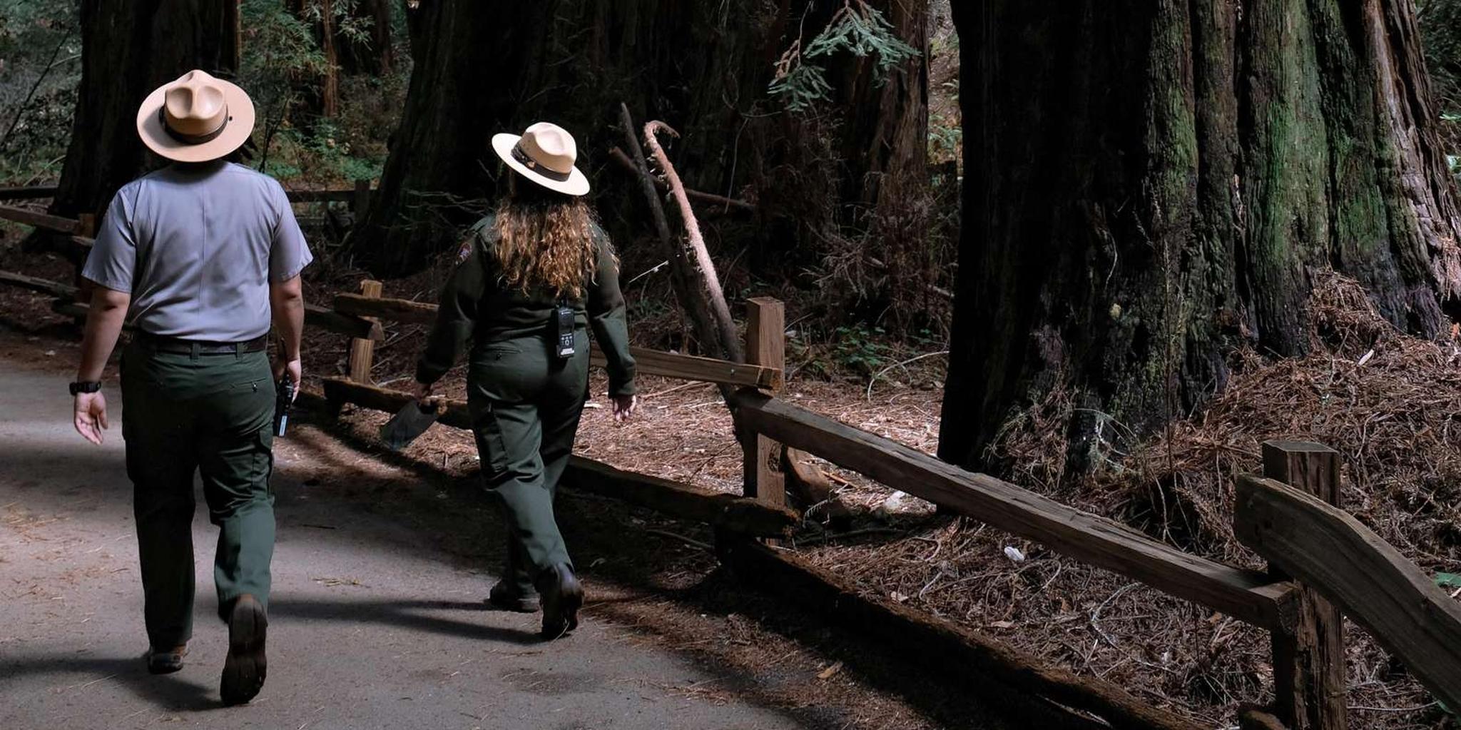 San Francisco Muir Woods & Golden Gate Bike Tour - Image 2