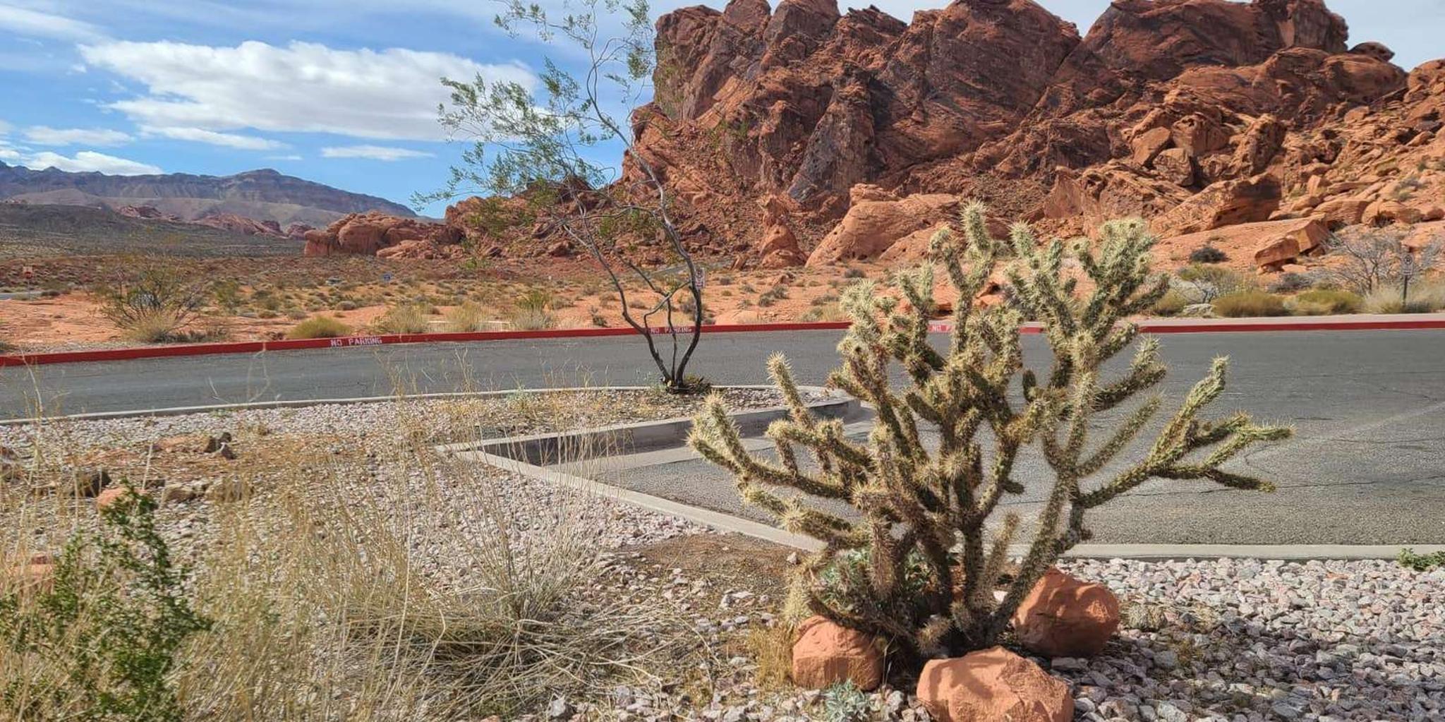 Las Vegas Valley of Fire and Red Rock Canyon Tour - Image 4