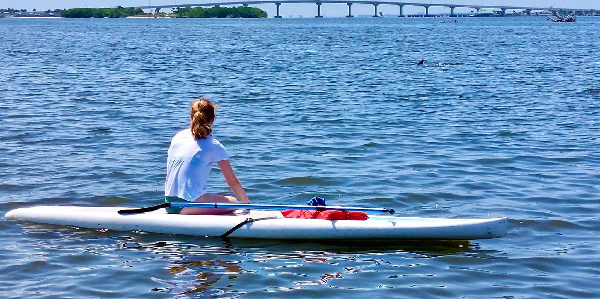 Orlando Dolphin Kayak or Paddleboard Adventure - Image 5