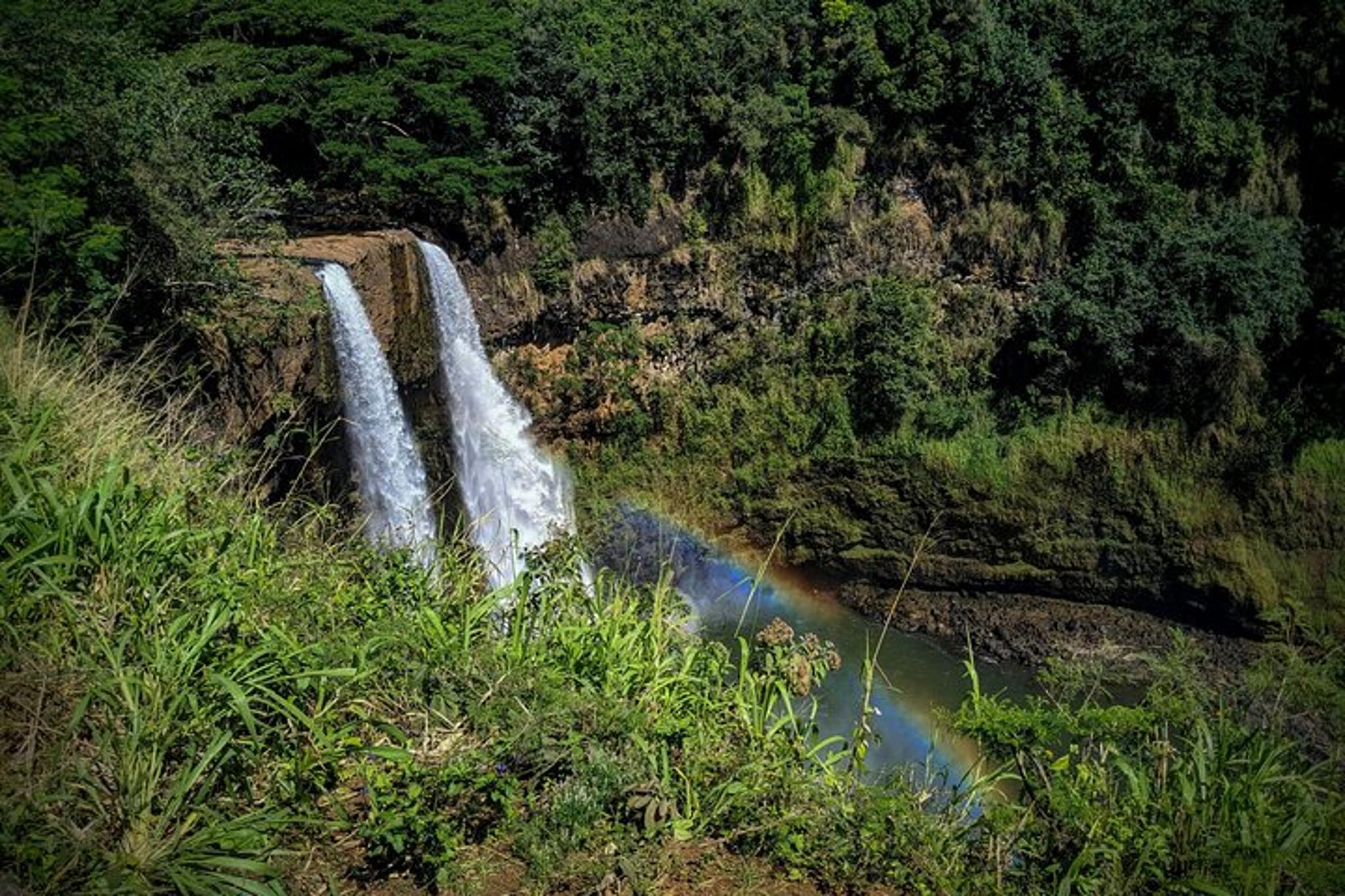 Kauai Private Guided Tour of Waimea Canyon - Image 4