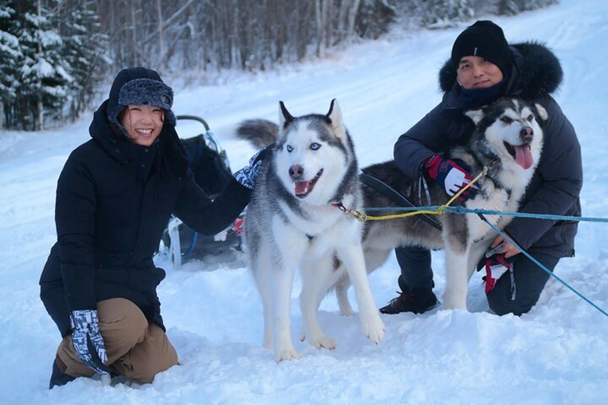Fairbanks Dog Sledding with Free Photo 90 min - Image 3
