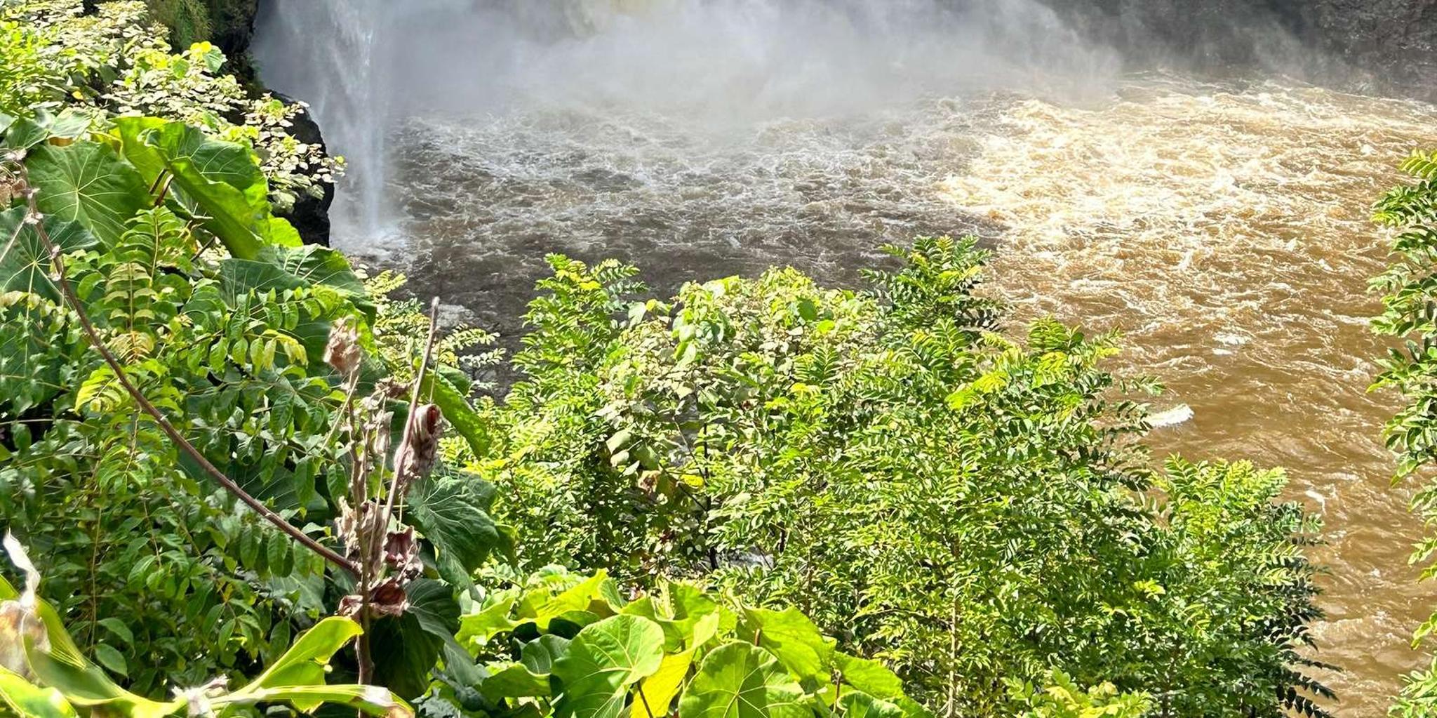 Hilo Volcanoes National Park Tour - Image 2
