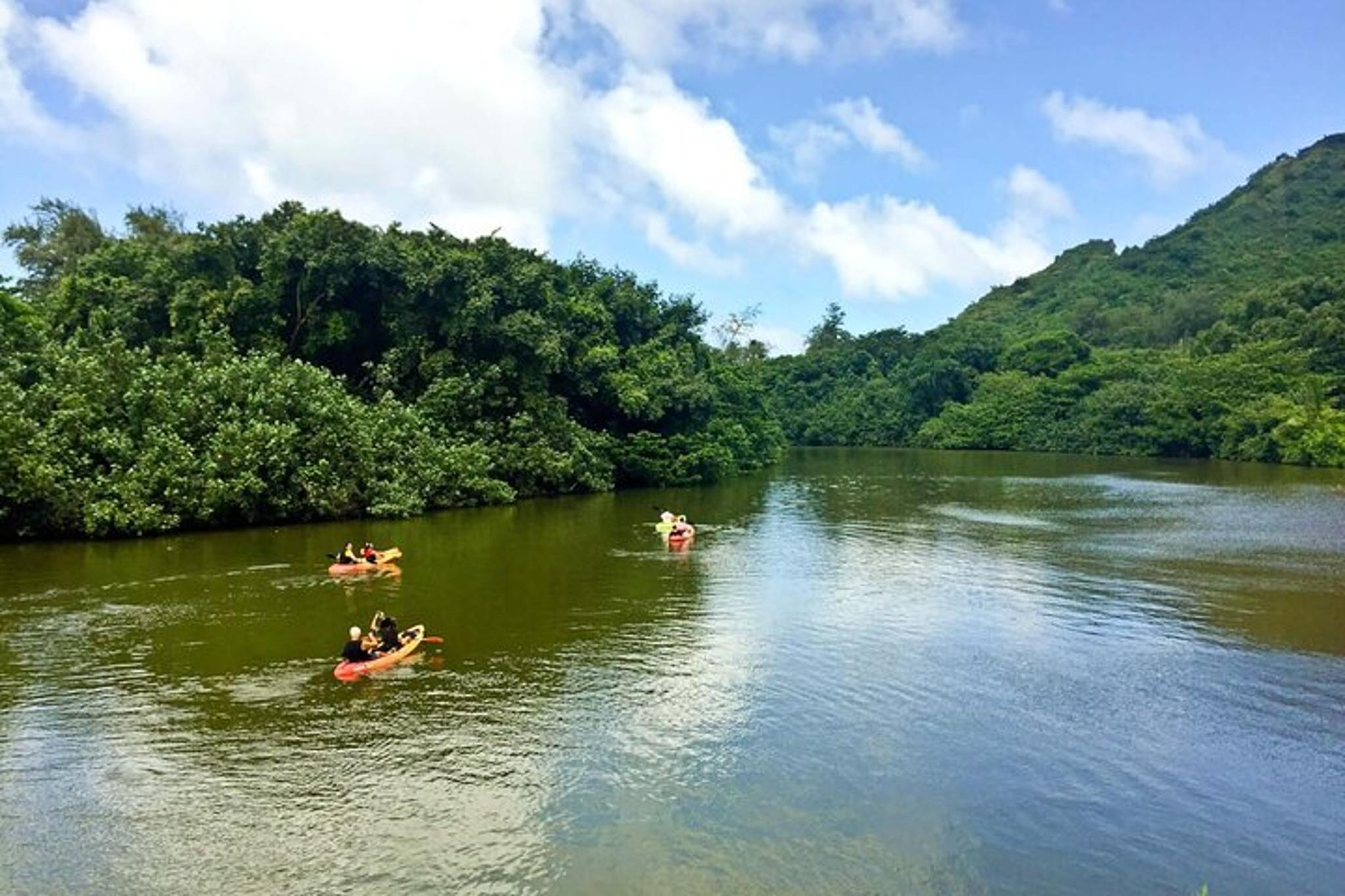 Kailua Self-Guided River Kayak Tour - Image 6