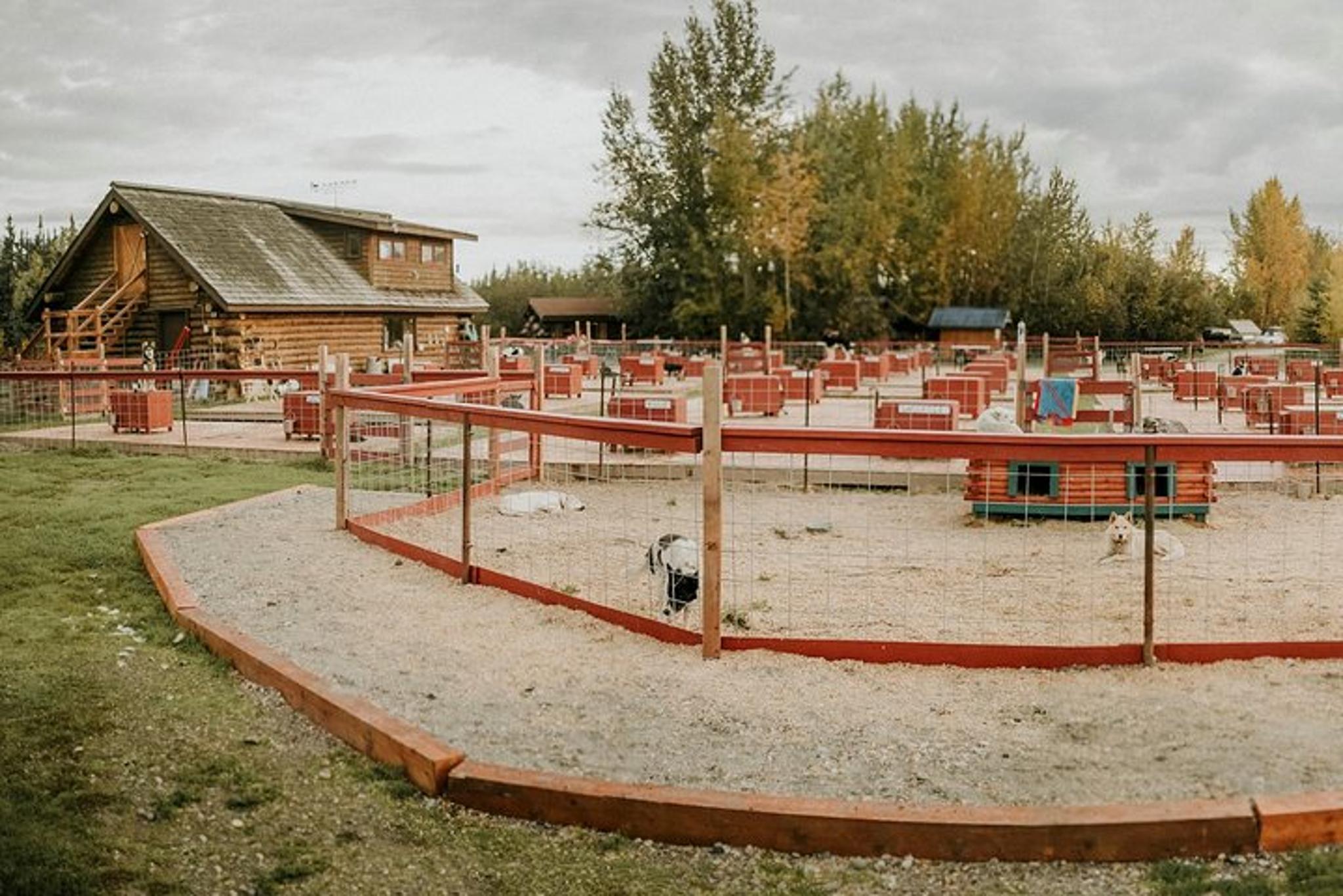 Fairbanks Kennel Visit at Trail Breaker - Image 4