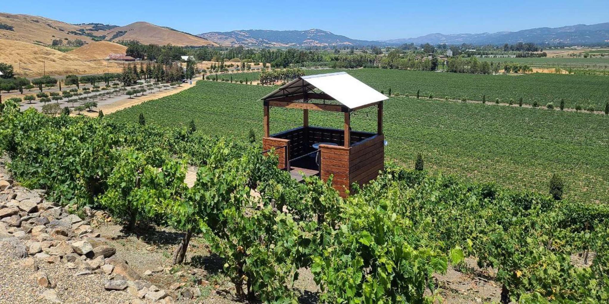 San Francisco Wine Tour with 2 Tastings Half-Day - Image 2