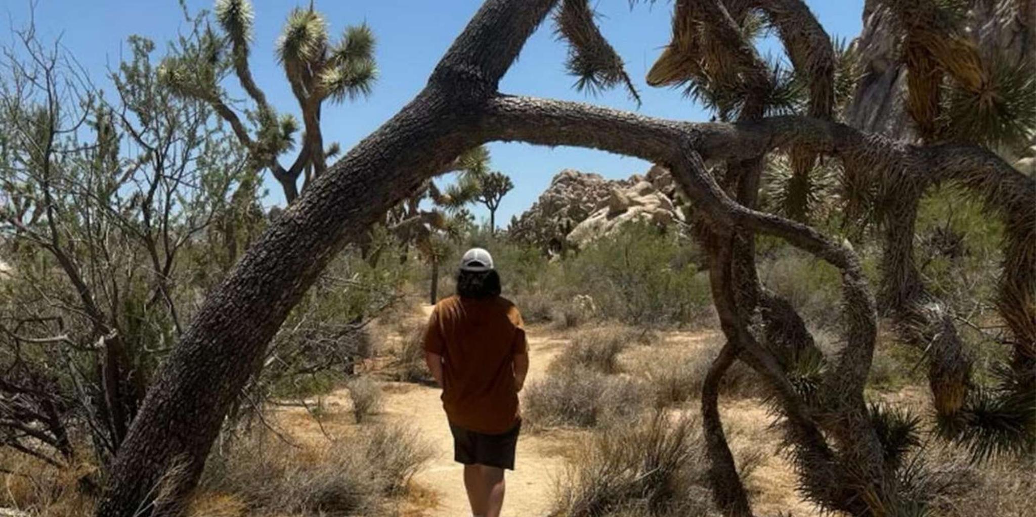 Joshua Tree National Park Sightseeing Tour - Image 5