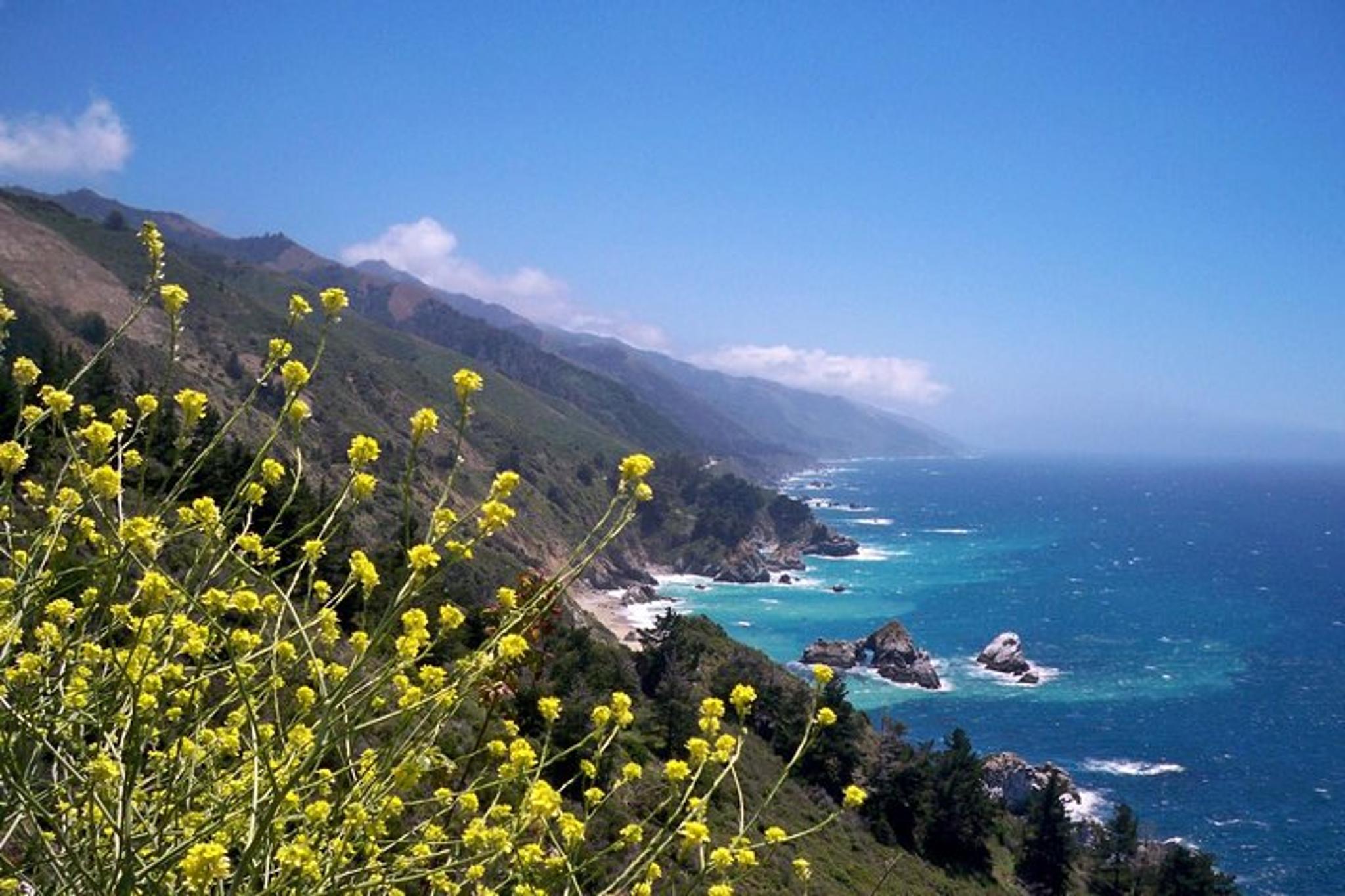 San Jose Big Sur and Monterey Coast Tour