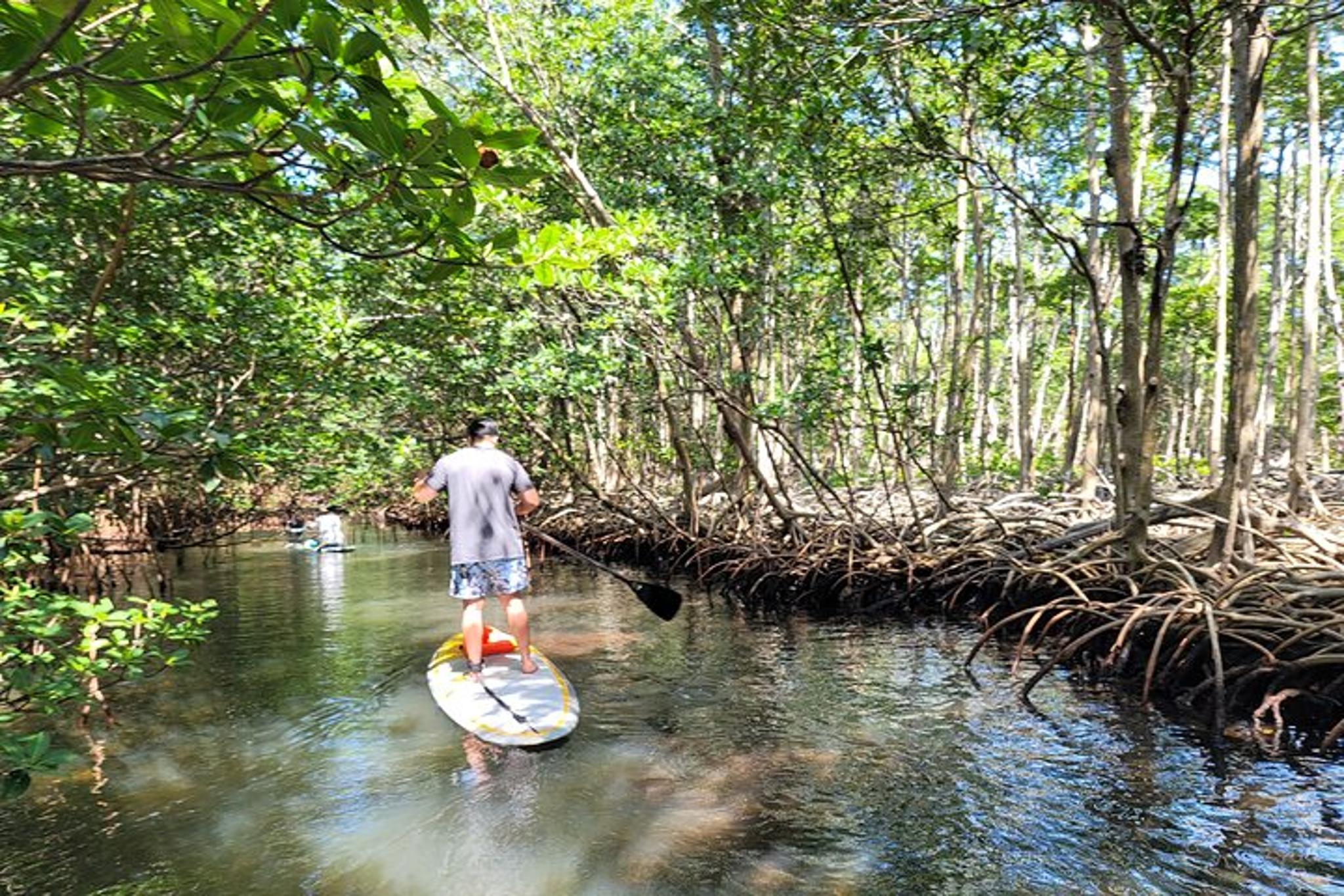 Miami Stand Up Paddle Boarding Experience - Image 3