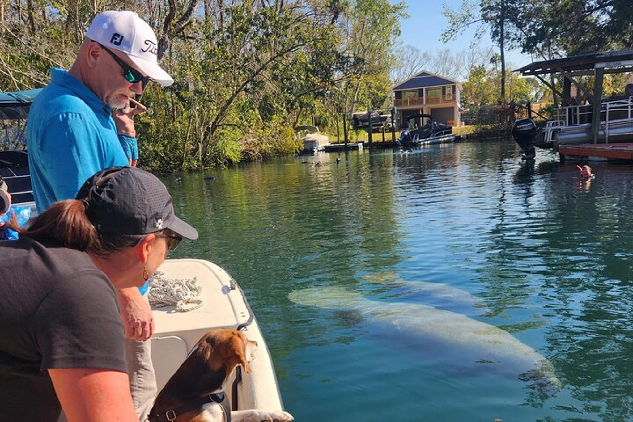 Crystal River Manatee Boat Tour