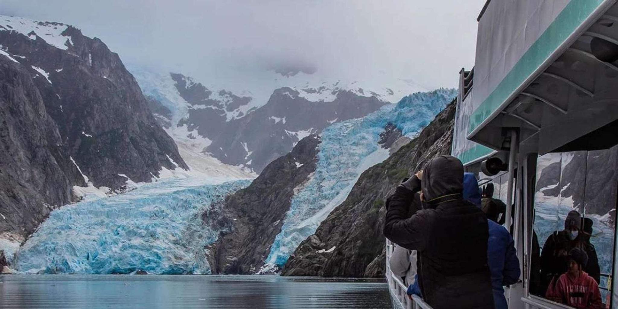 Seward Fjord Glacier & Wildlife Tour 8 hr - Image 5