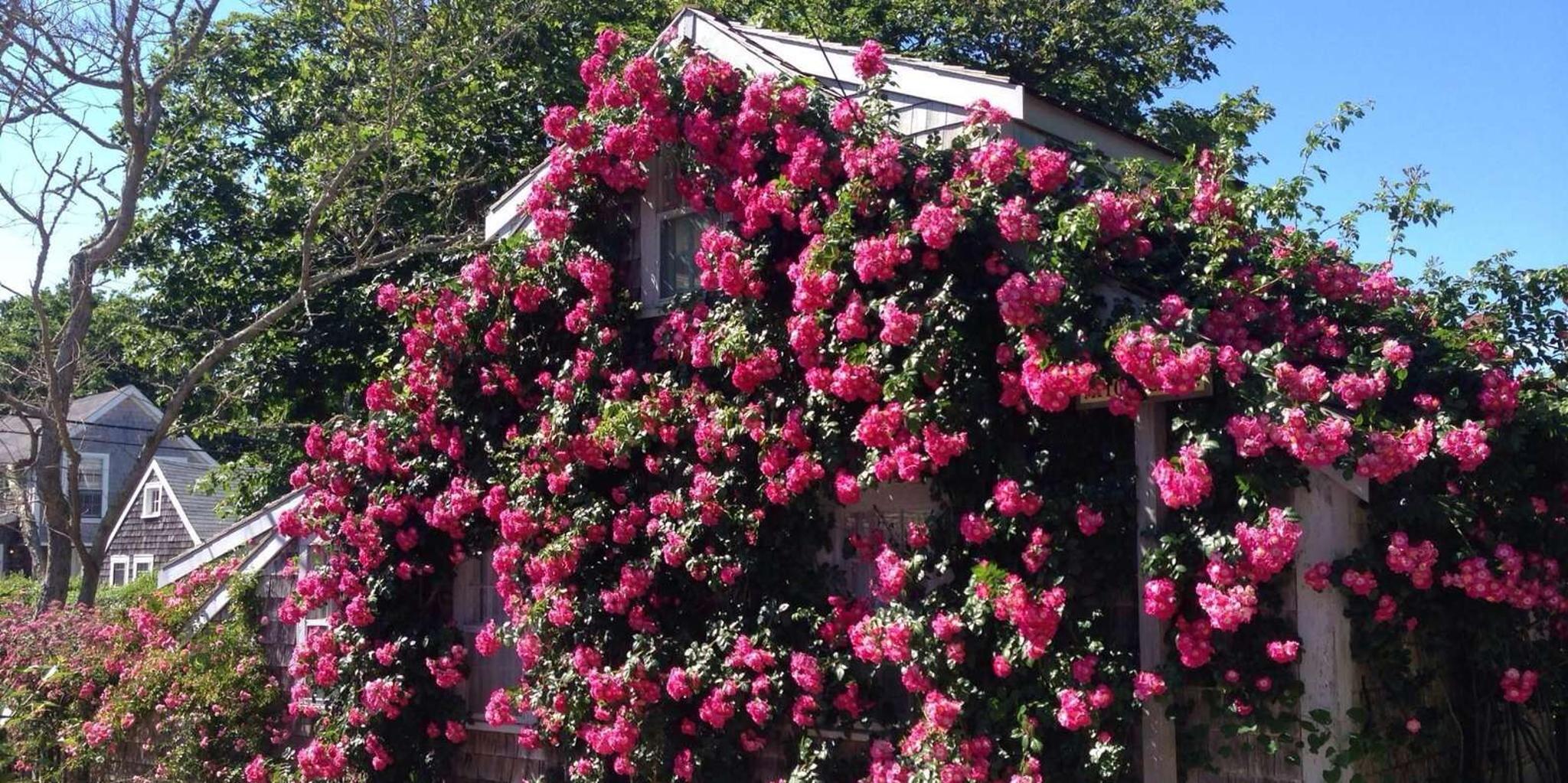 Nantucket Historical Landmarks Bus Tour