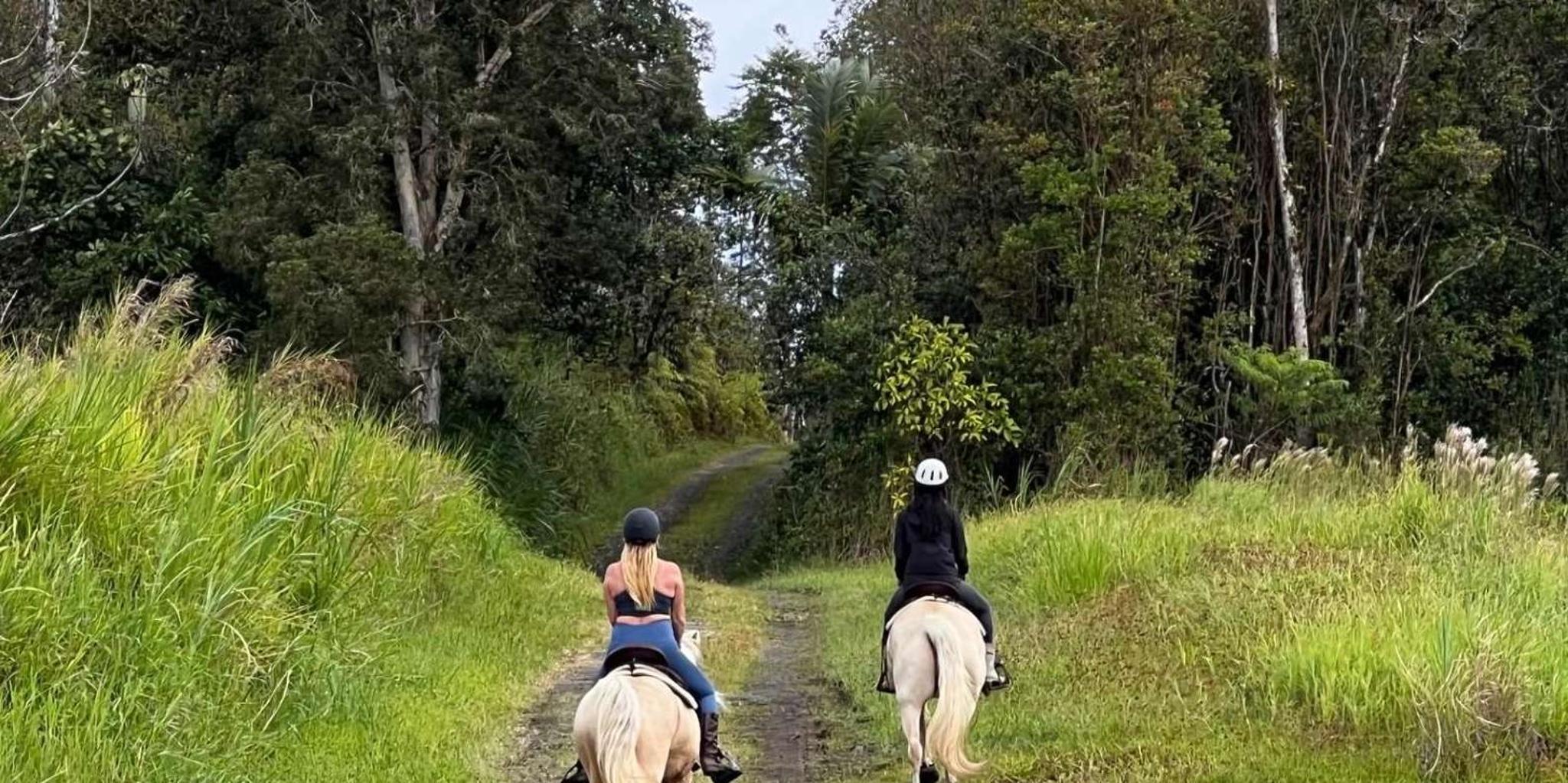 Pāhoa Rainforest Trail Ride - Image 4