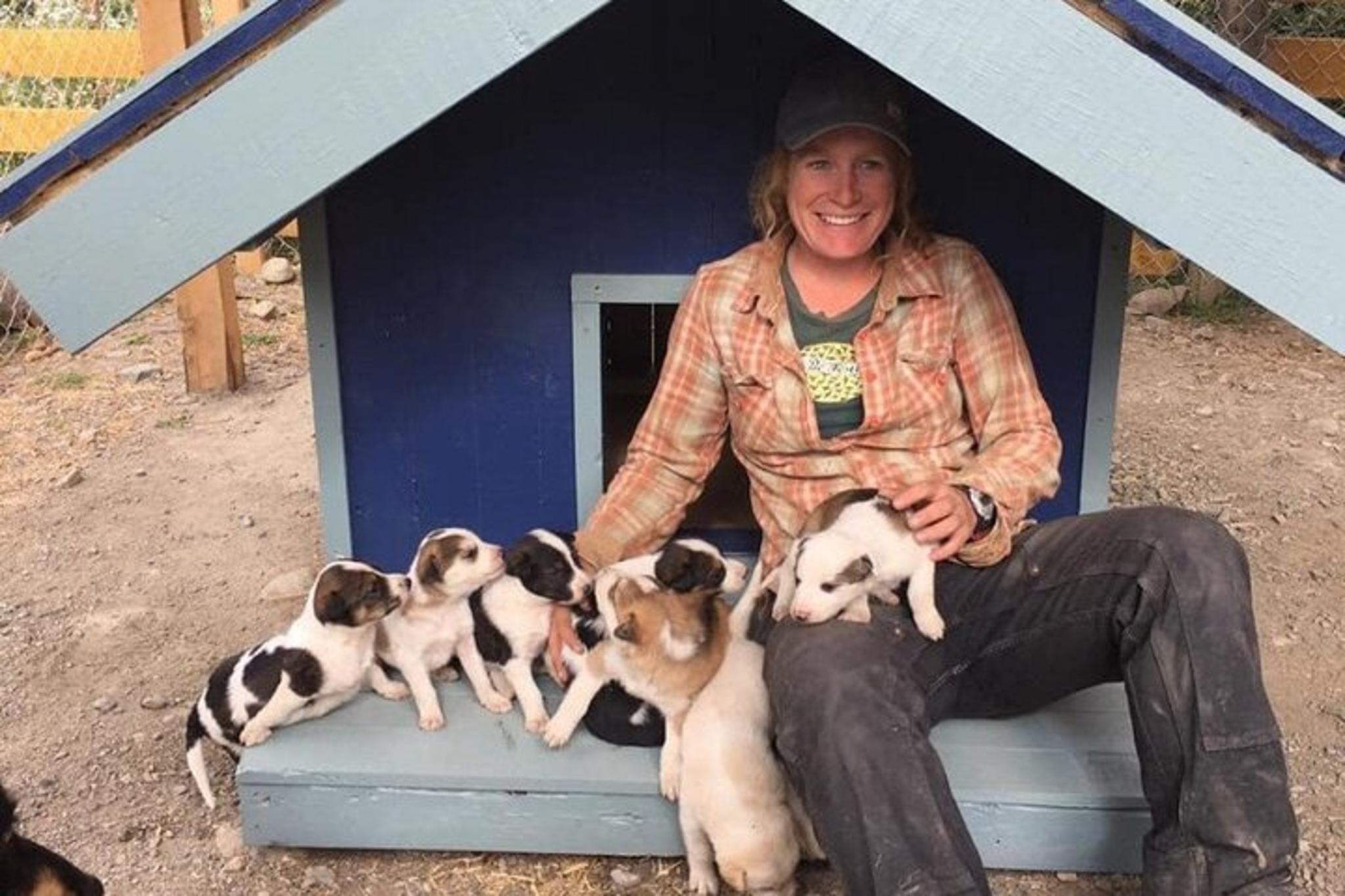 Skagway Husky Puppy Playtime & Summit Tour - Image 3