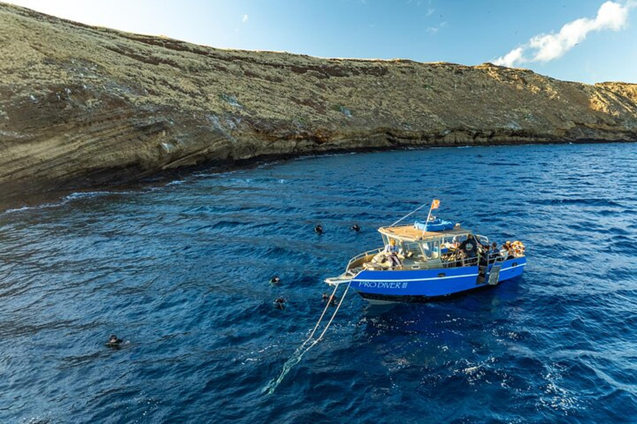 Maui 3-Tank Dive at Molokini Crater - Image 2