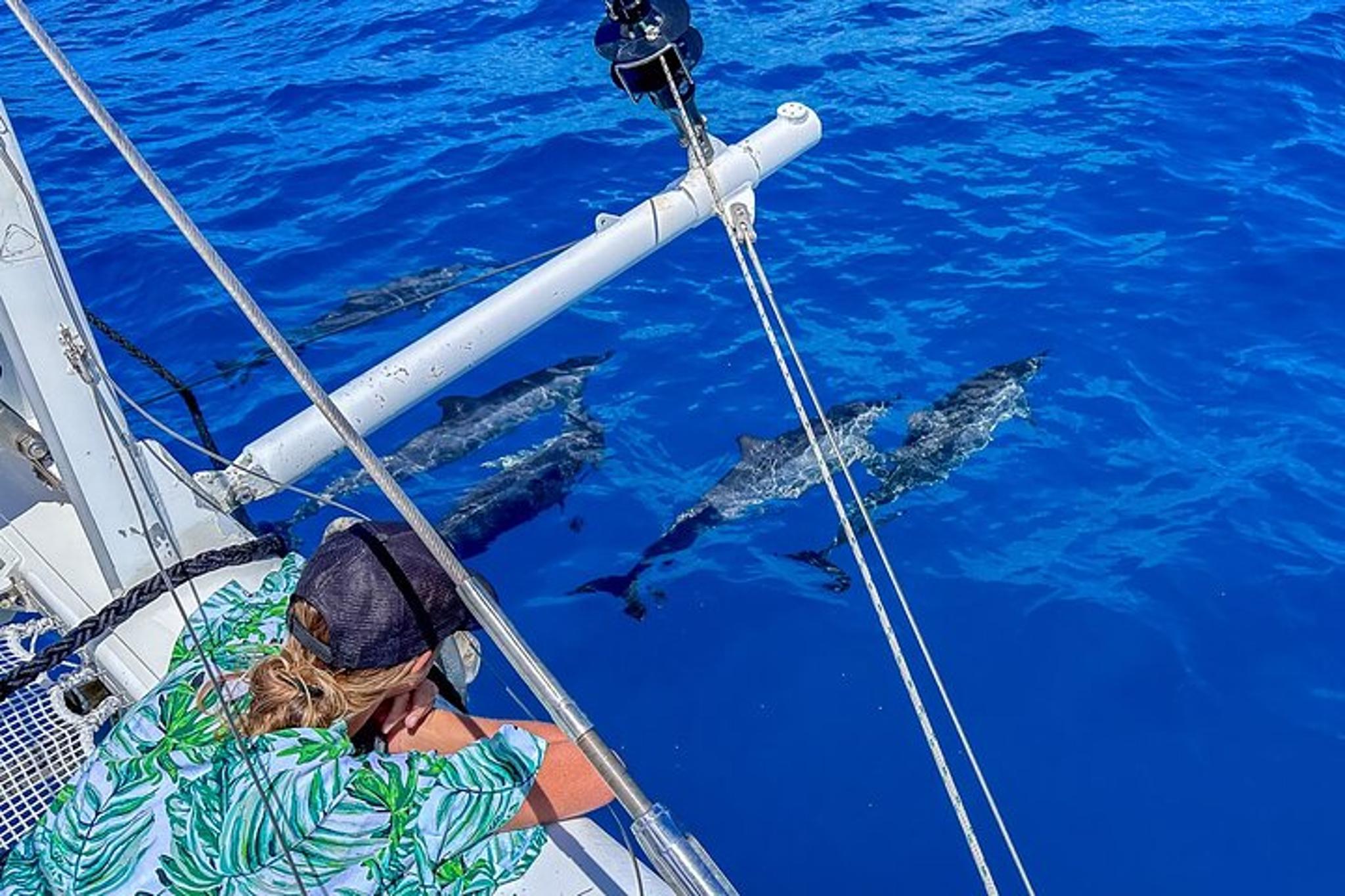 Waikiki Private Sailing Catamaran 2 hr - Image 5
