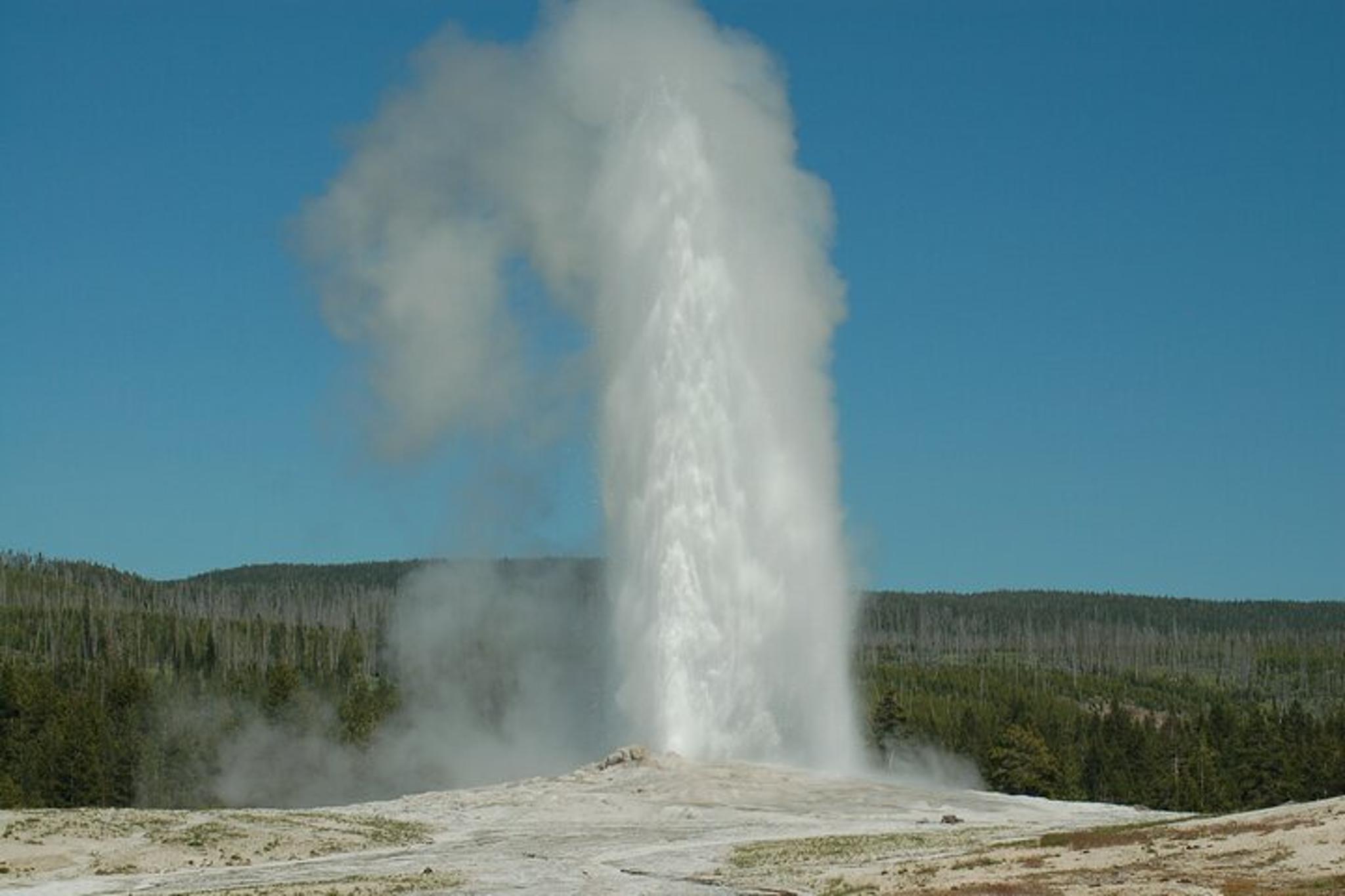 Yellowstone Lower Loop Tour - Image 1