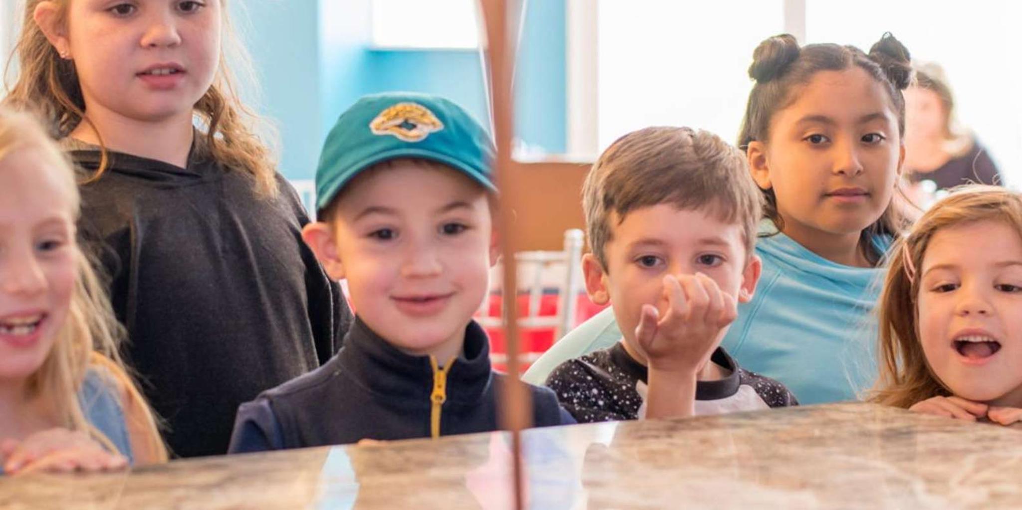 Jacksonville Chocolate Making Class at Sweet Pete's - Image 4
