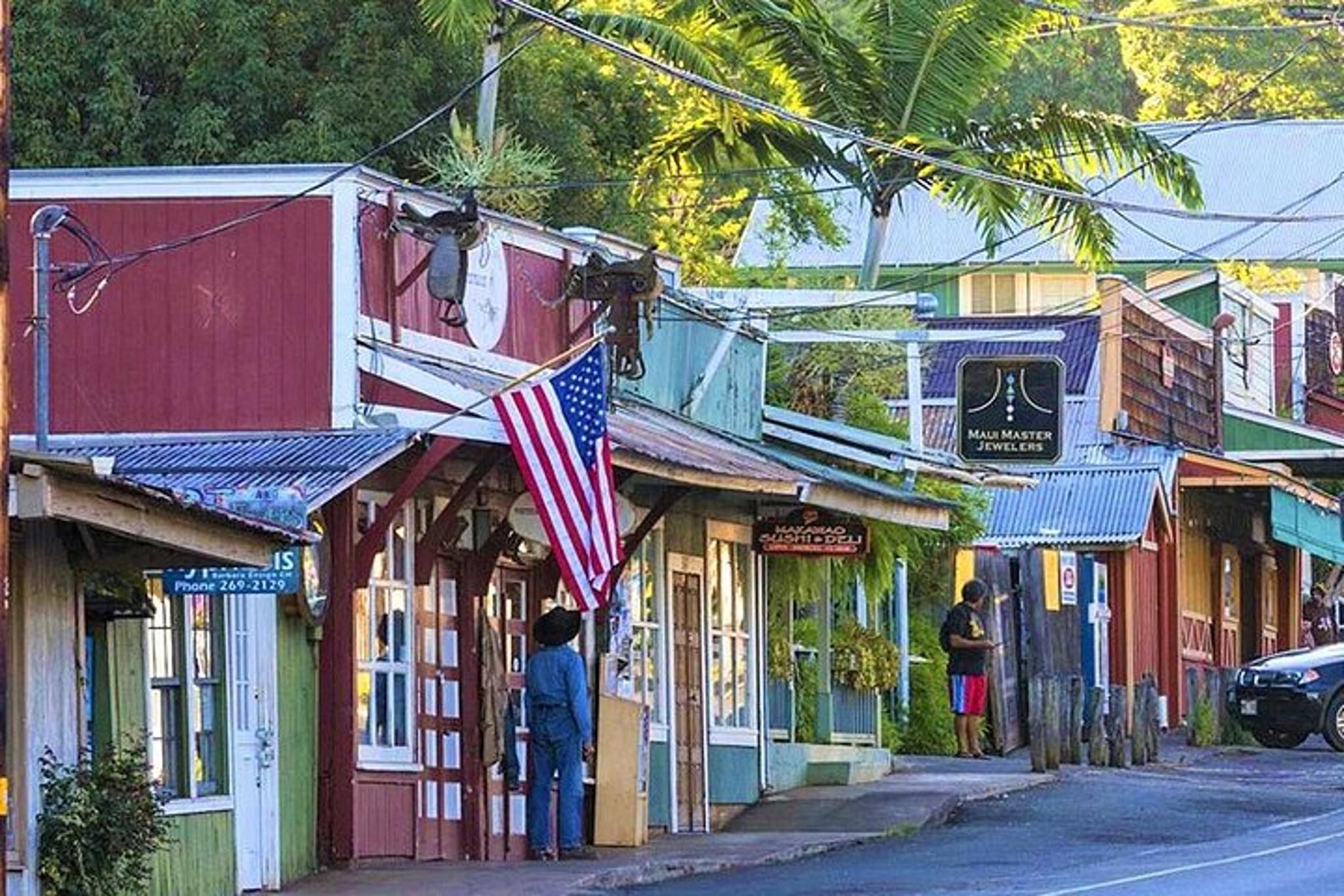 Maui Self-Guided Bike Tour from Haleakala - Image 4