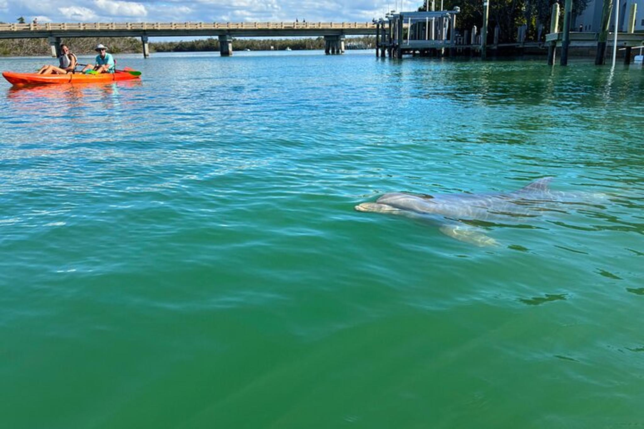 Bonita Springs Eco Kayak Tour - Image 2