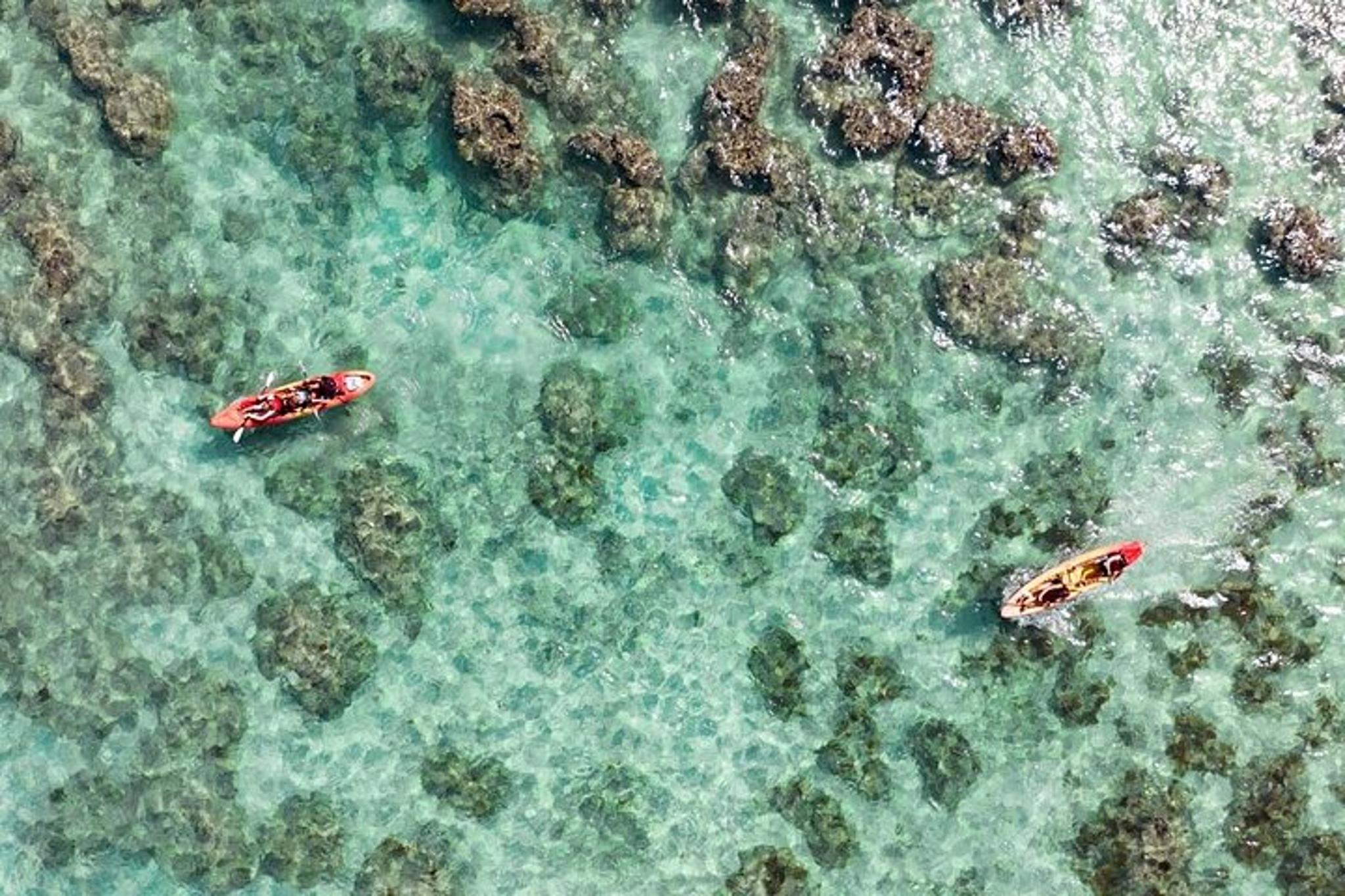 Kailua Kayak Tour to Twin Islands - Image 3