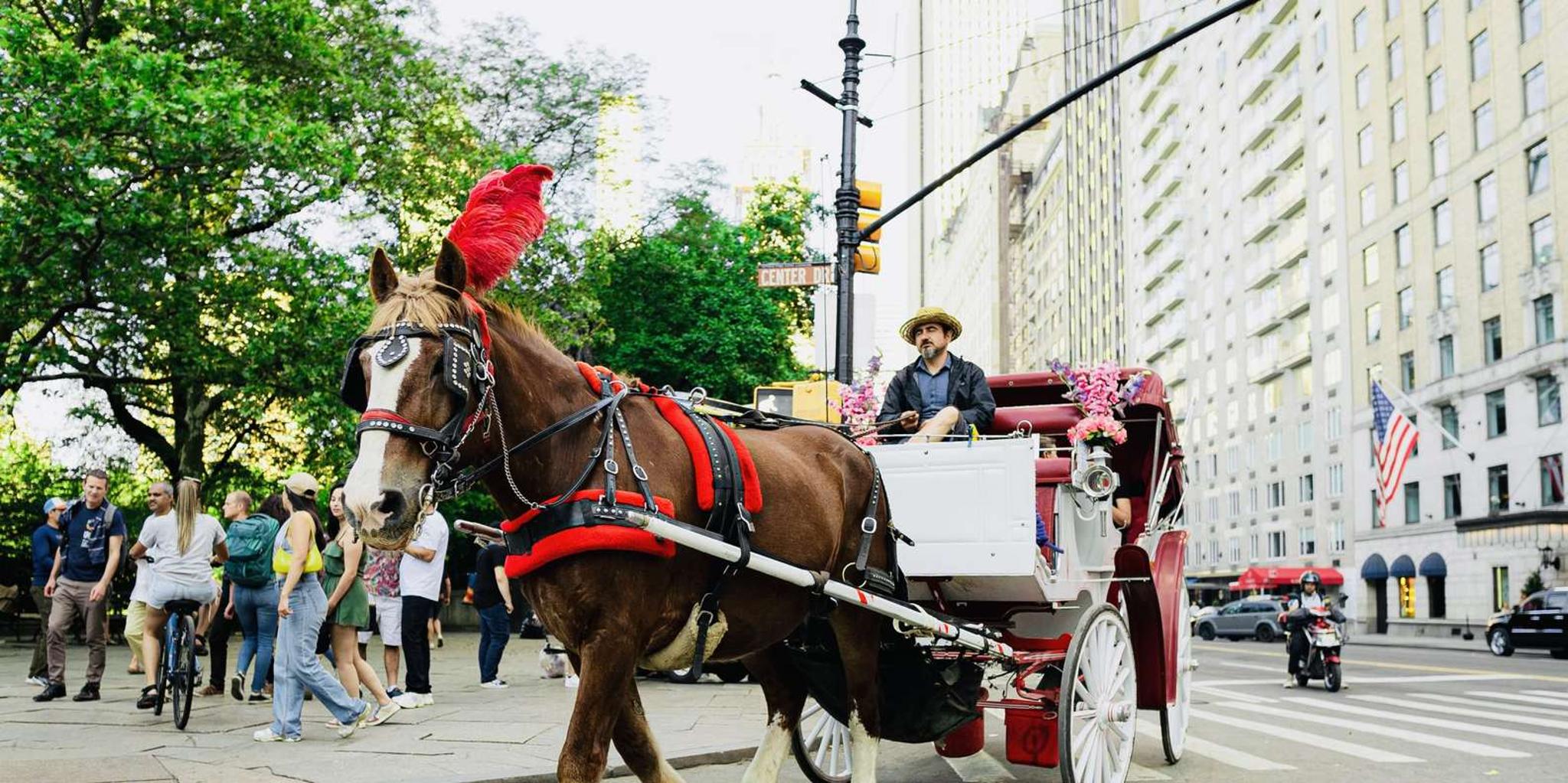 New York City Central Park Horse and Carriage Tour