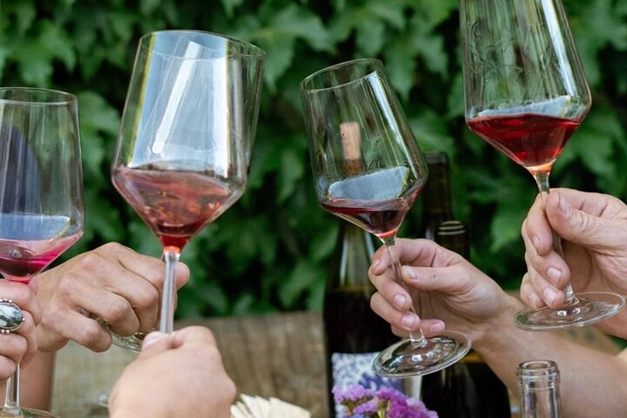 Sebastopol Wine Tasting with Local Sommelière - Image 4