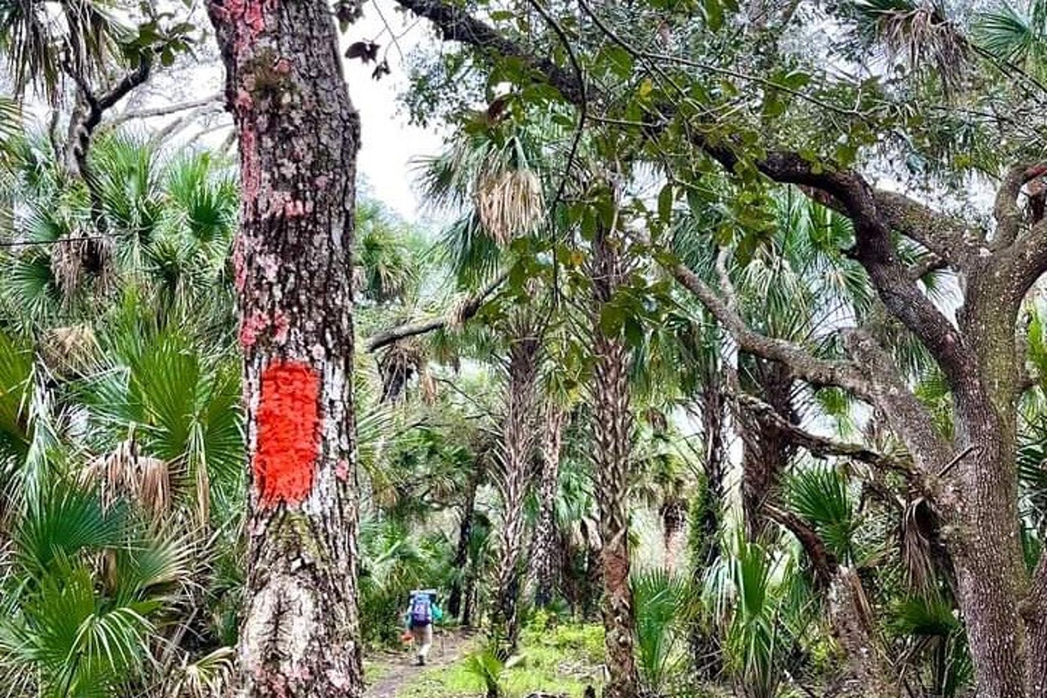 Florida Backcountry Day Hike