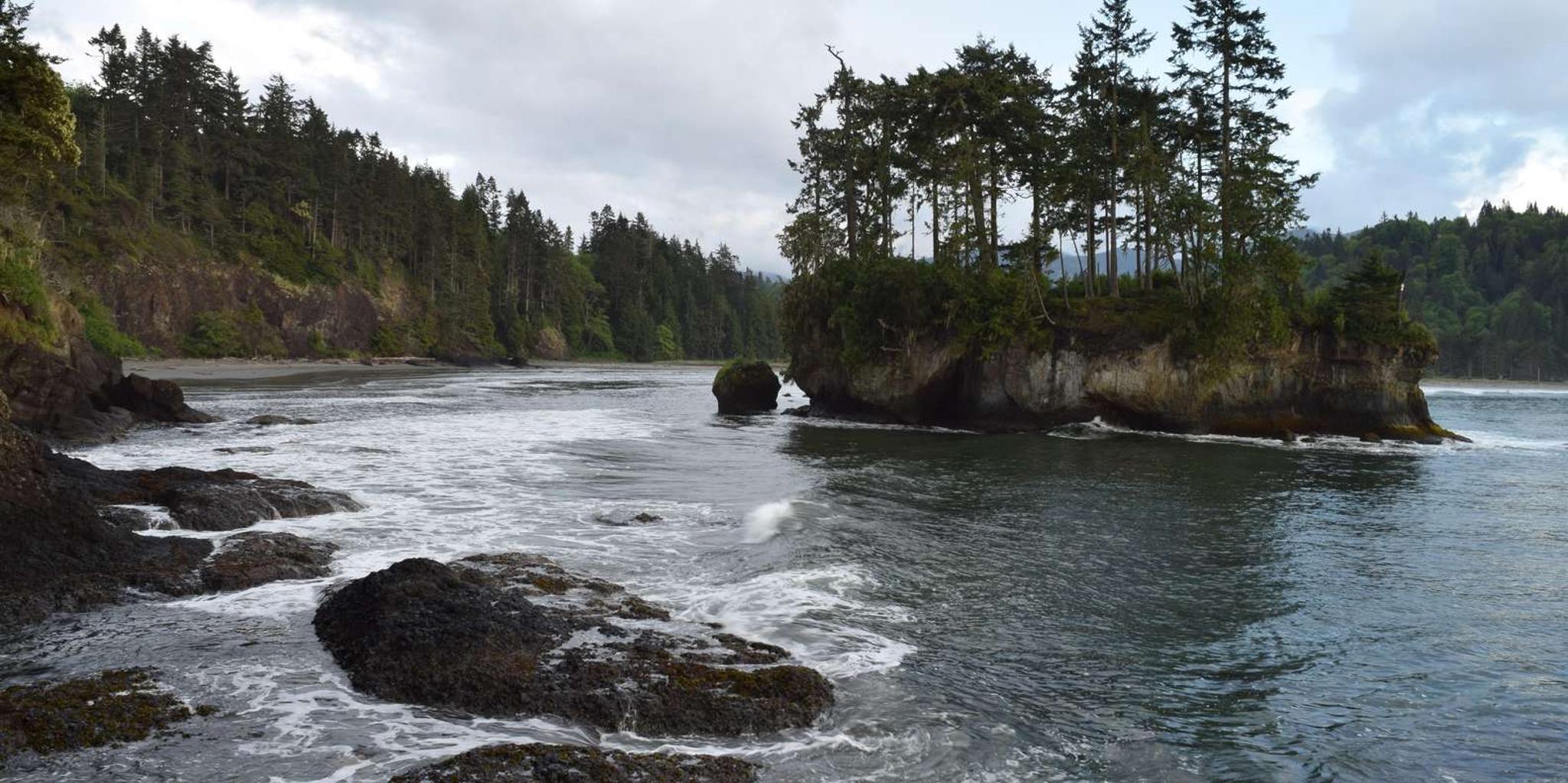 Olympic National Park Half-Day Tour - Image 5