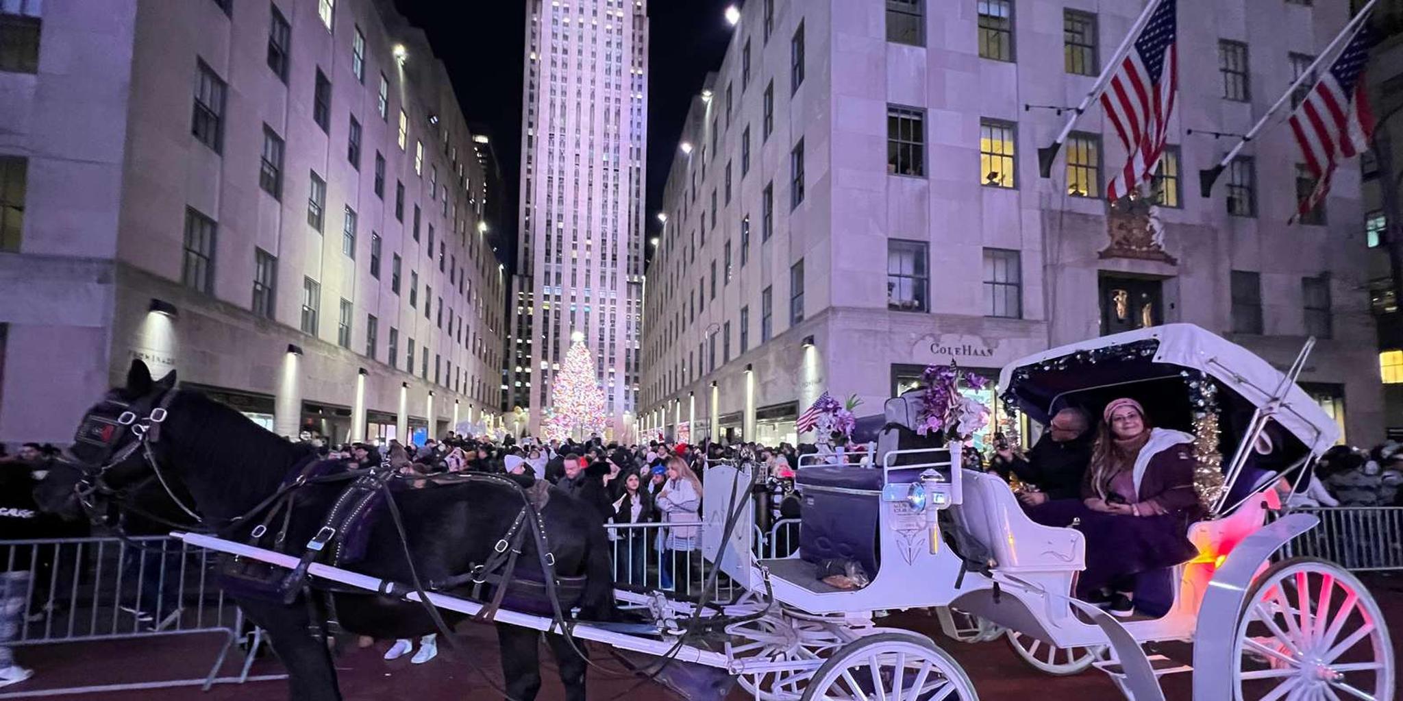 New York City Christmas Lights Horse Carriage Ride