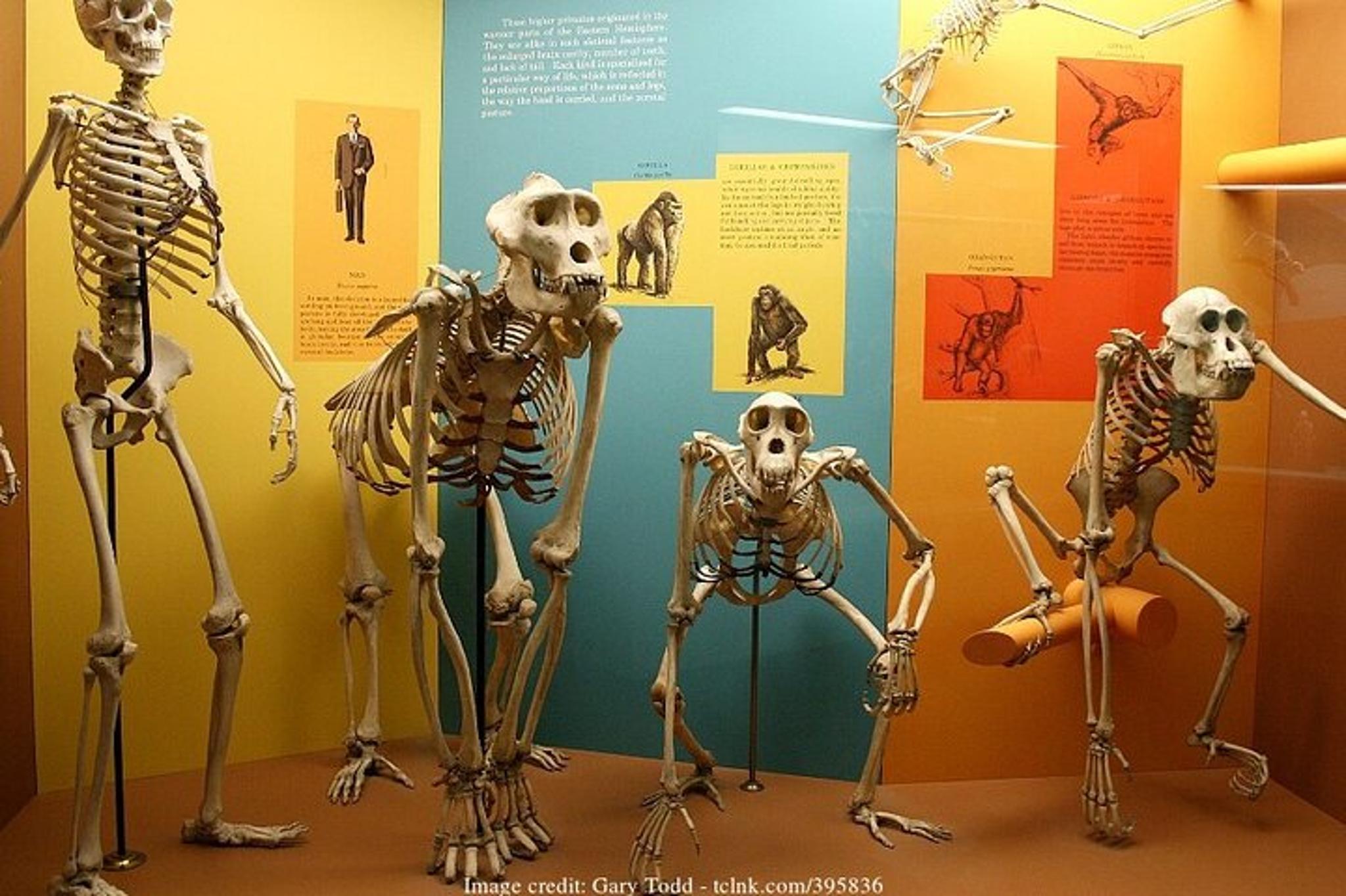 Washington DC Smithsonian Museums Private Tour - Image 3