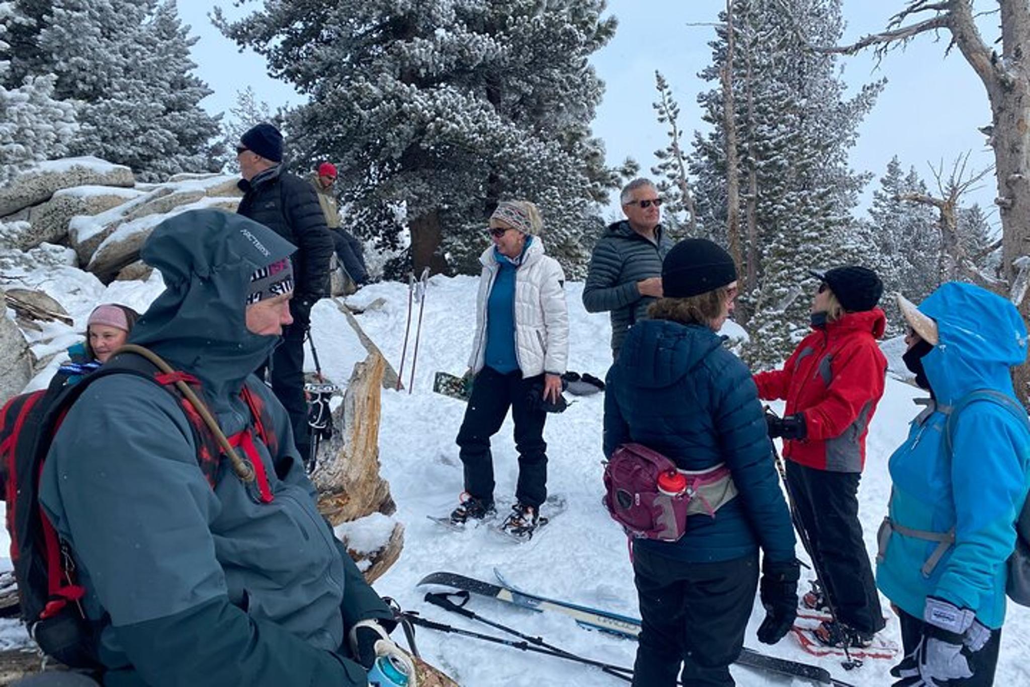 Lake Tahoe Snowshoe Experience - Image 6