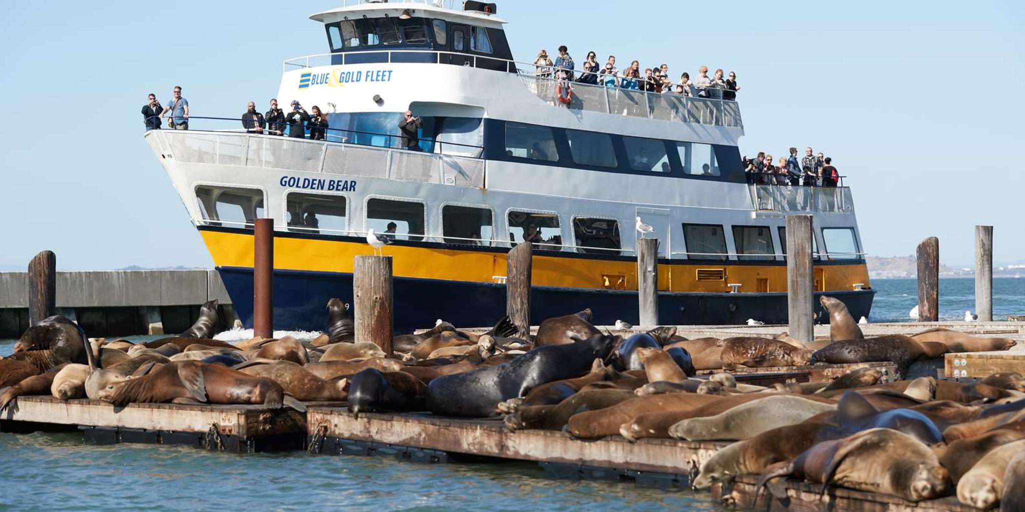 San Francisco Alcatraz Tour with Bay Cruise - Image 2
