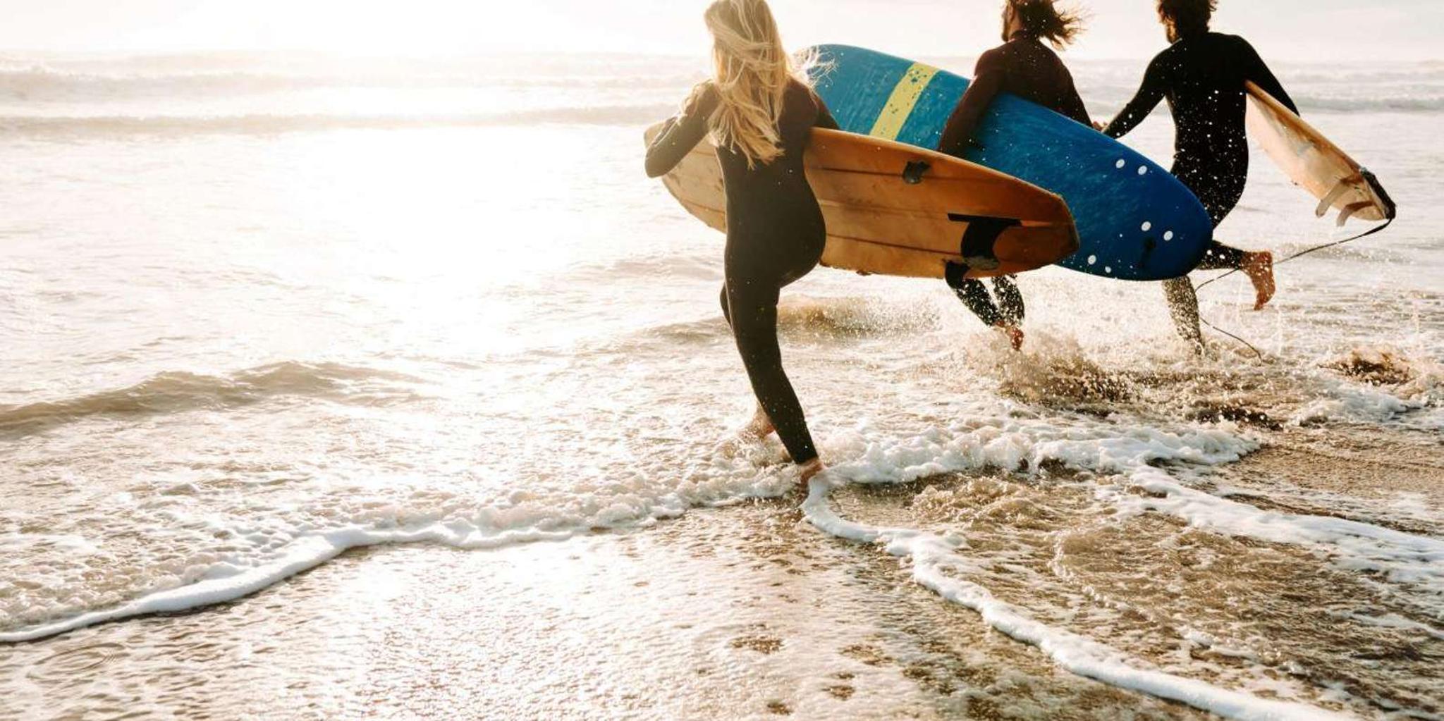 Maui Surf Safari and Macnut Tour - Image 1