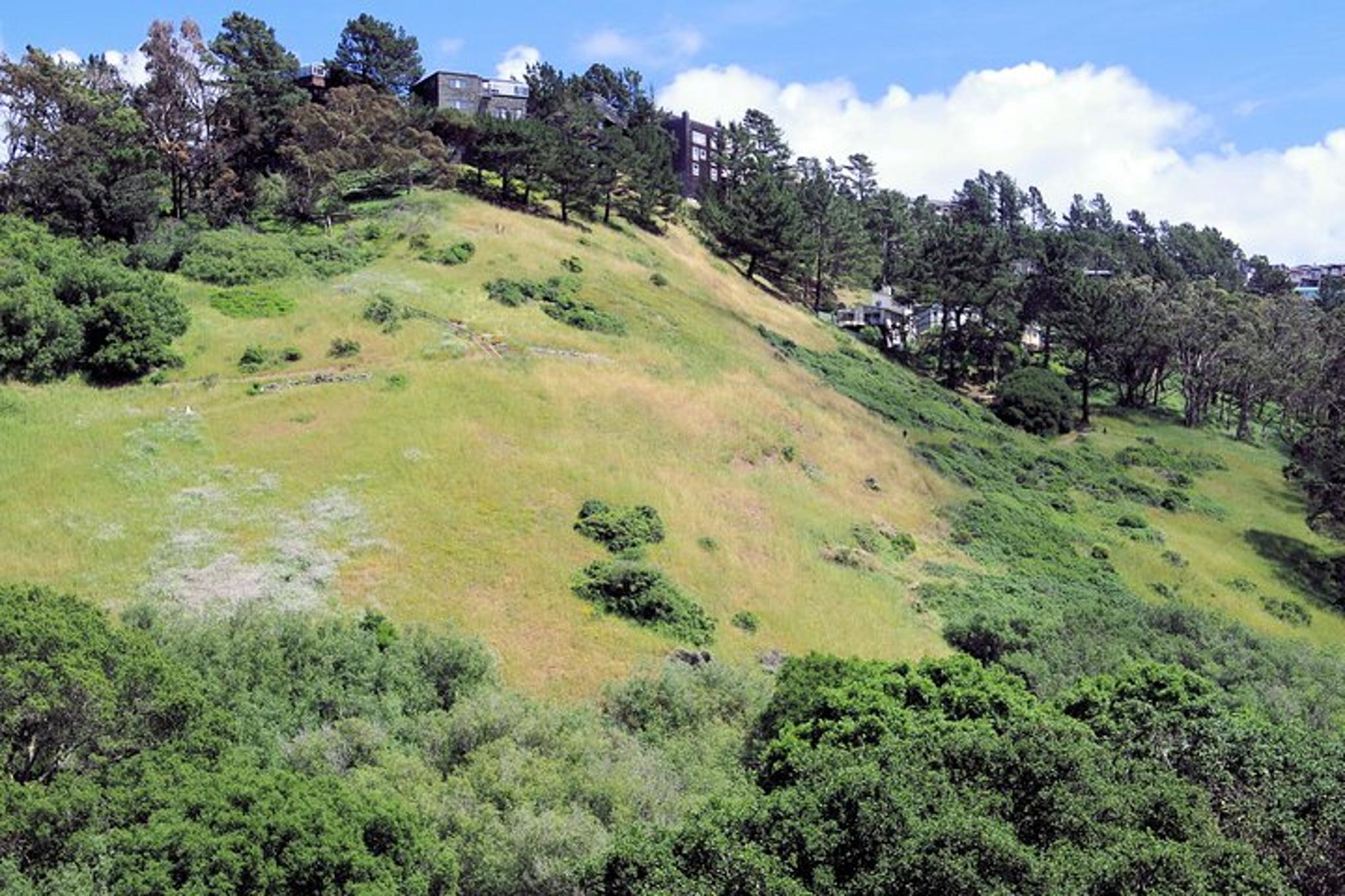 San Francisco Glen Park and Glen Canyon Self-Guided Tour - Image 3