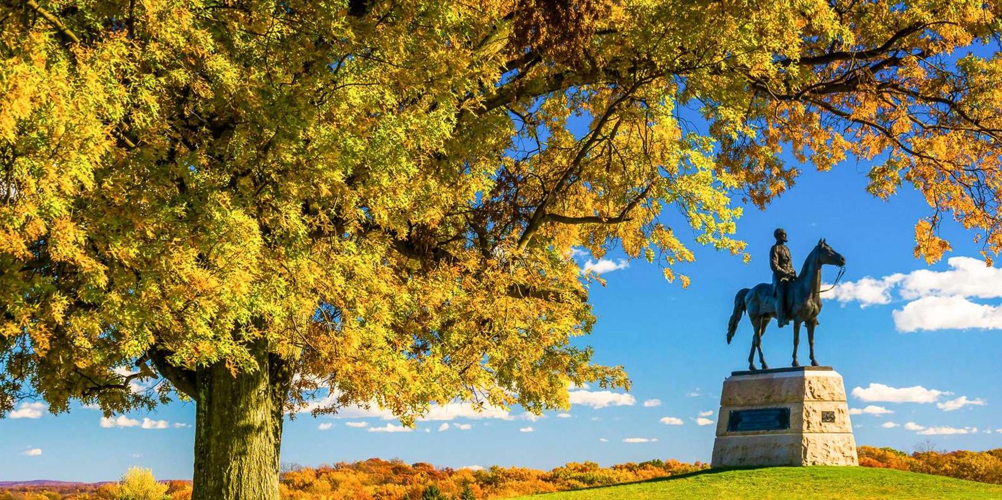 Gettysburg Horse-Drawn Carriage Battlefield Tour - Image 6