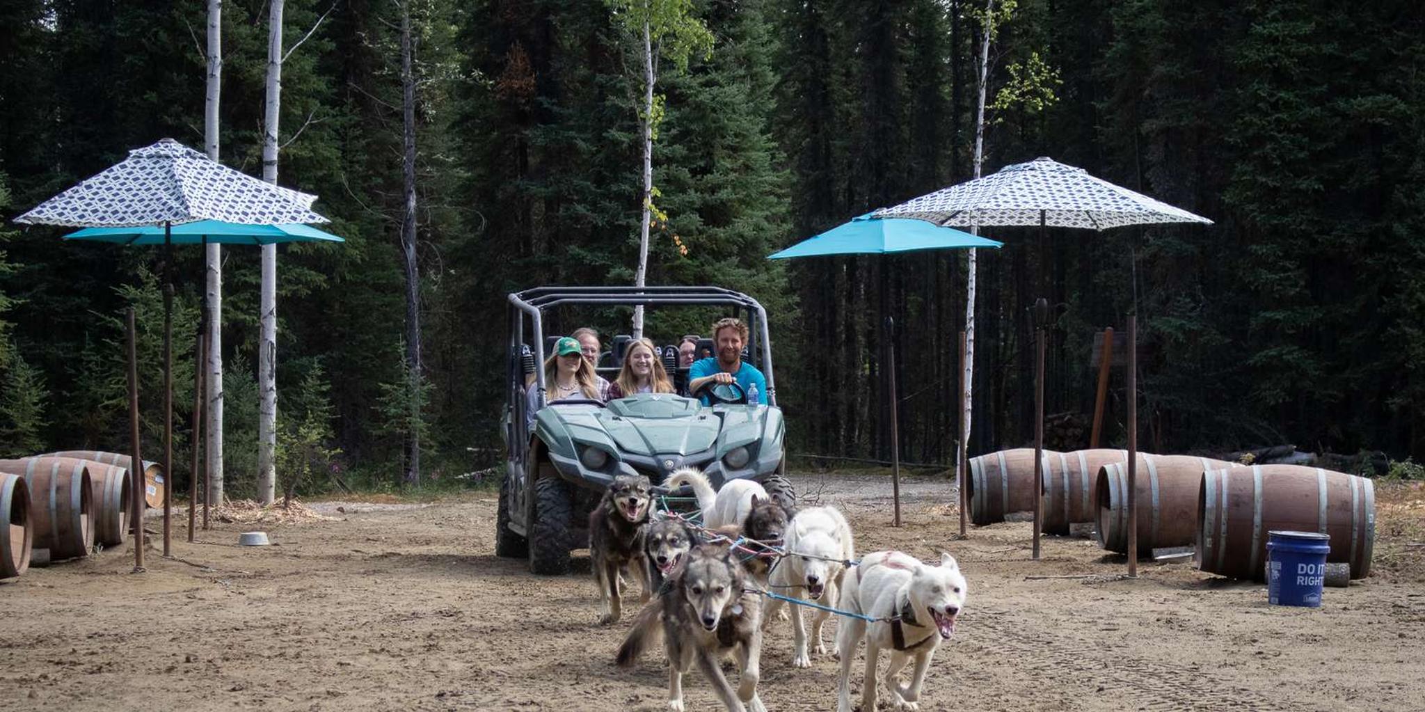 Fairbanks Mushing Cart Ride and Kennel Tour