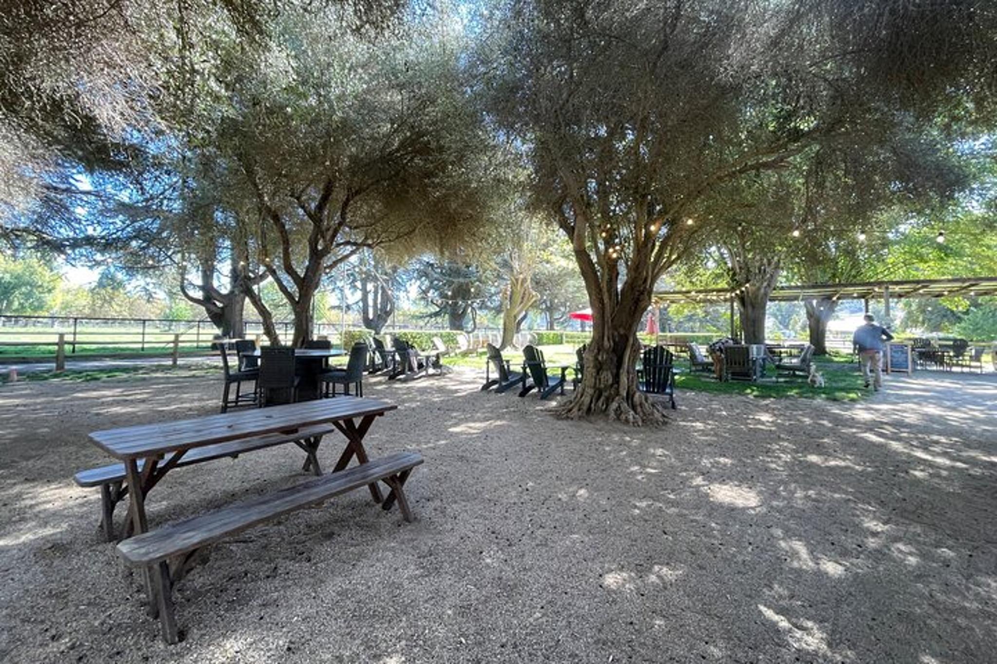 Santa Ynez Valley Wine Tasting Tour - Image 5