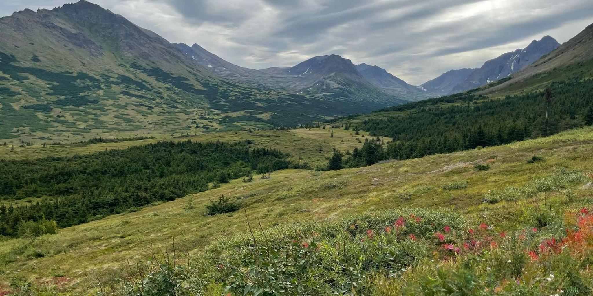 Anchorage Chugach State Park Nature Walk - Image 5