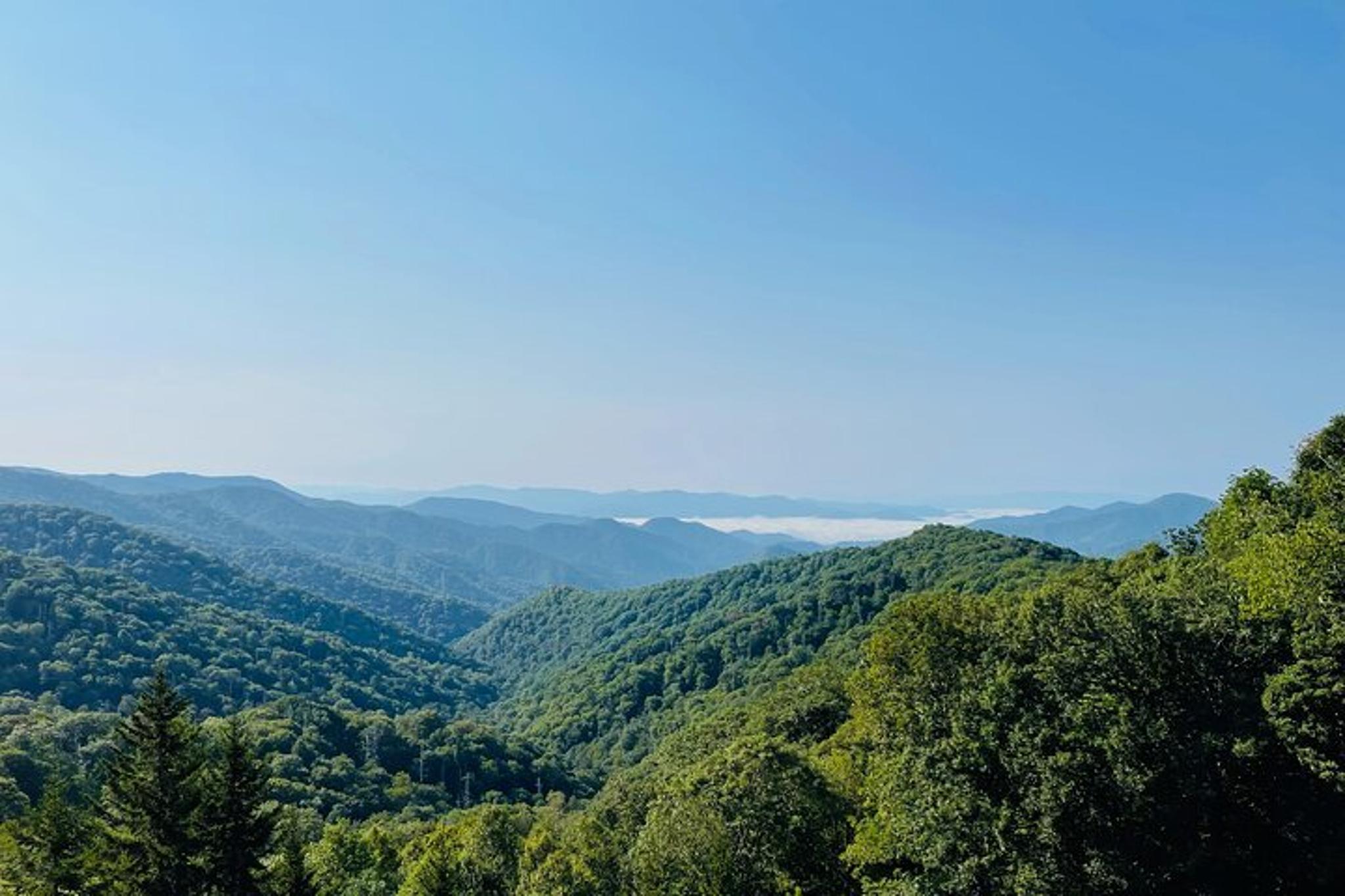 Pigeon Forge Newfound Gap Jeep Tour - Image 6