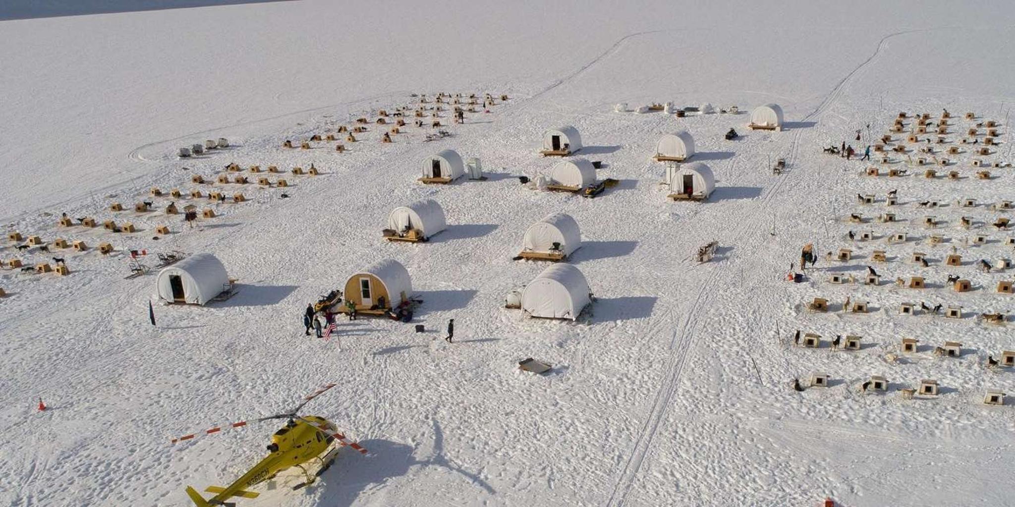 Juneau Helicopter Dogsledding on Herbert Glacier - Image 1