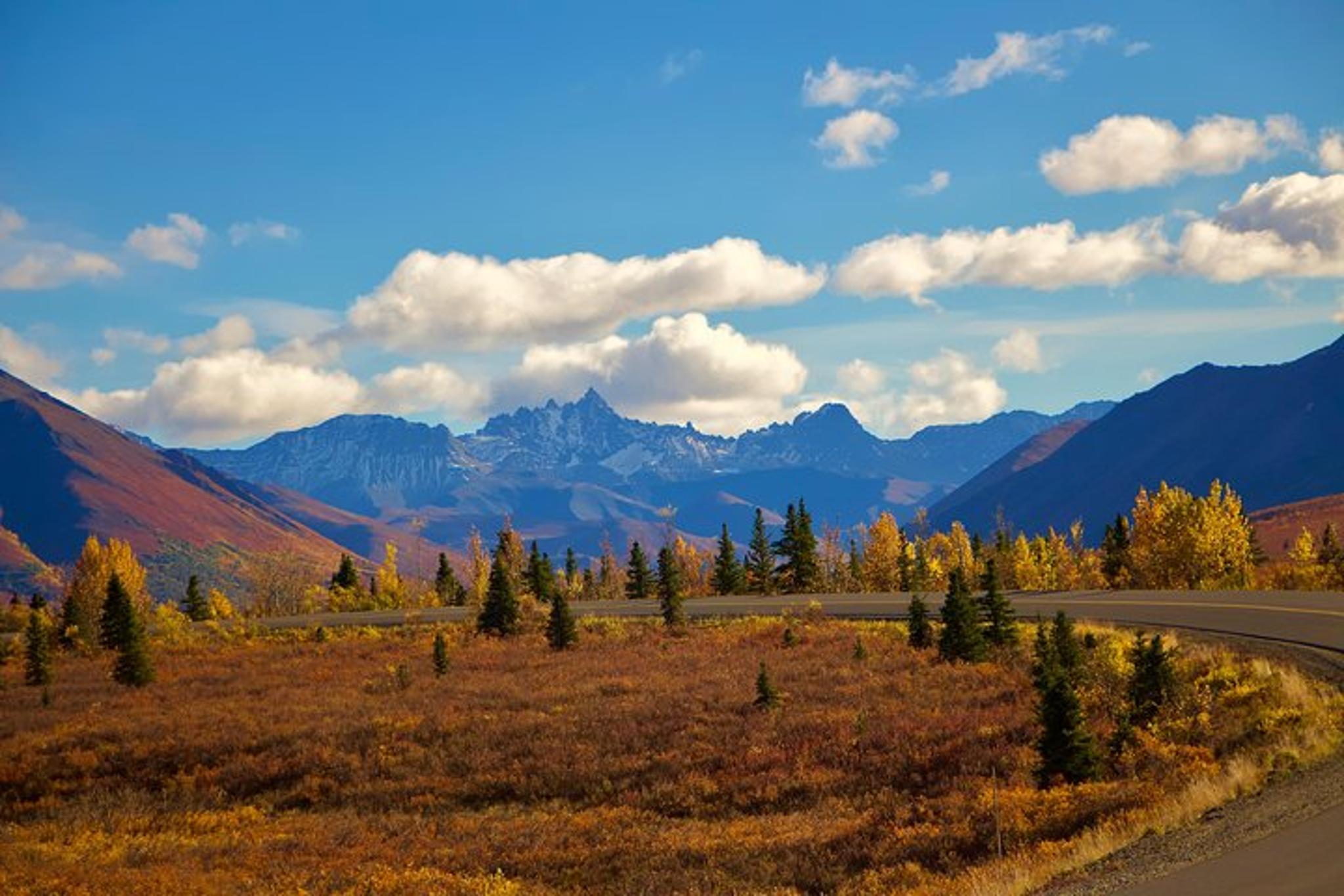 Denali Self-Guided Jeep Adventure - Image 3