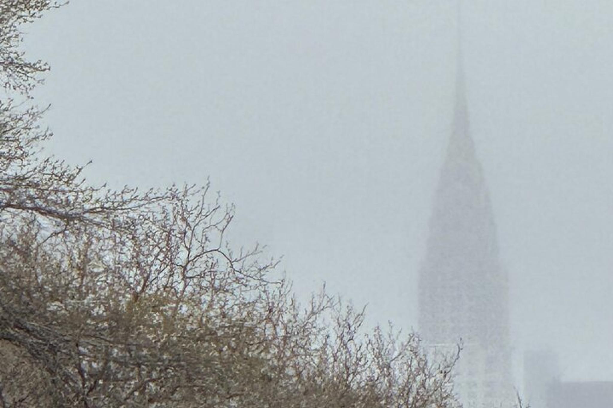 New York City Chinatown Dumpling Tour - Image 5