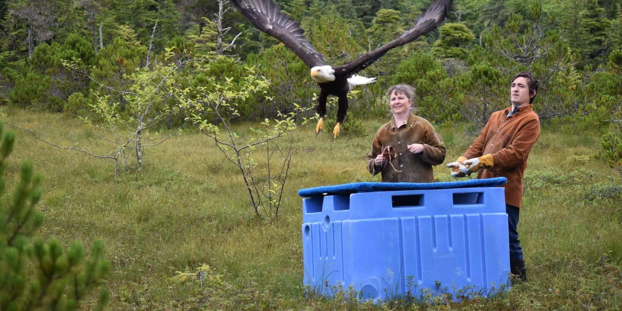 Sitka Alaska Raptor Center Admission
