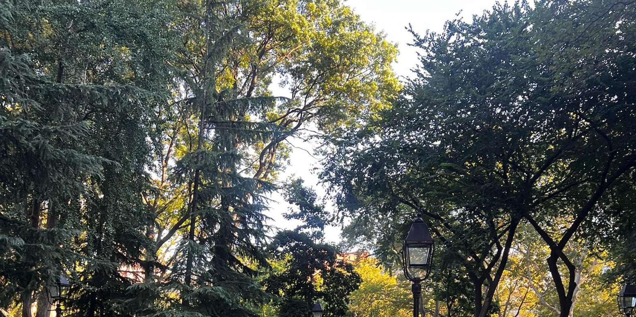 New York Dark Secrets Walking Tour 2 hr