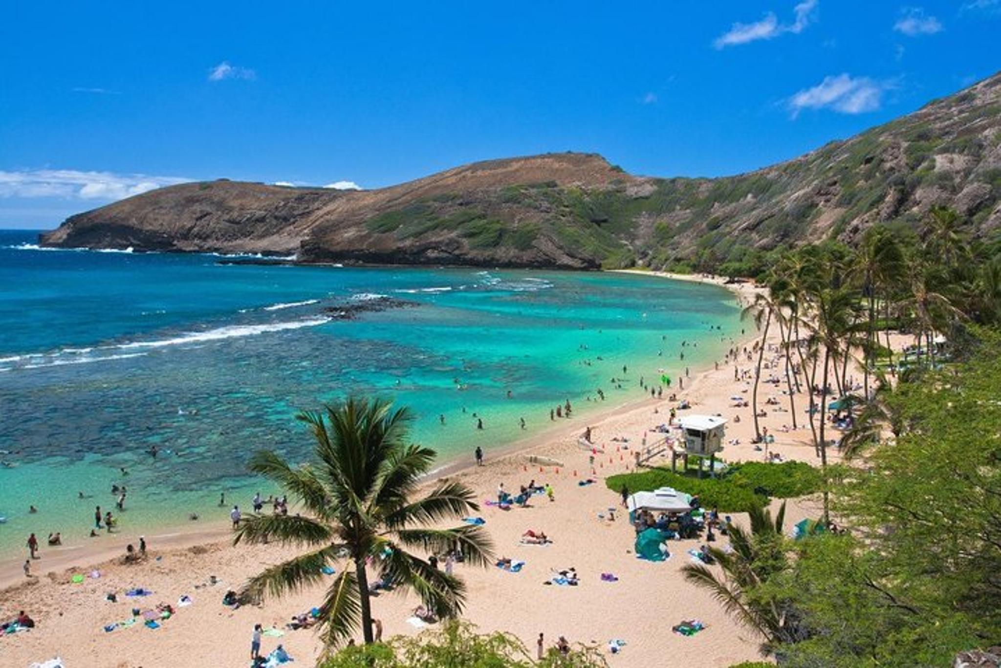 Oahu Island Sightseeing Tour - Image 1