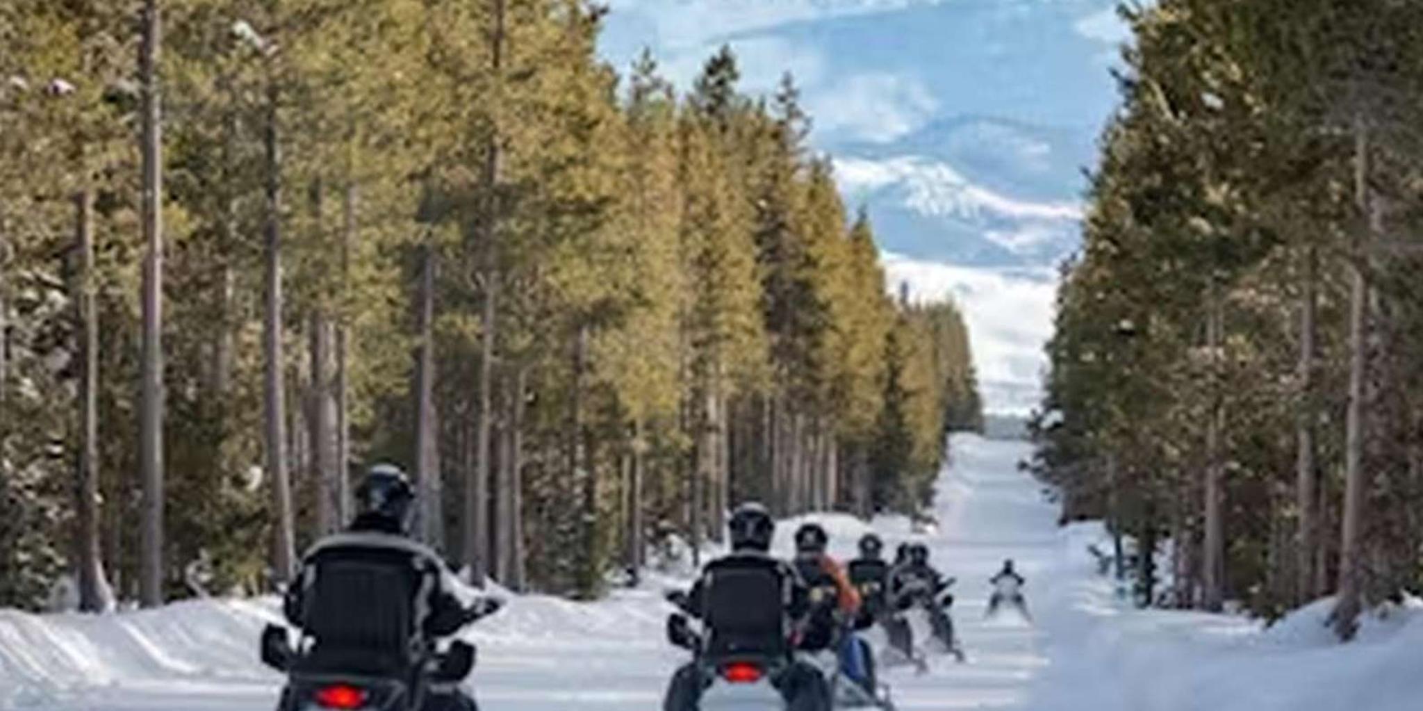 Jackson Yellowstone Snowmobile Tour - Image 6
