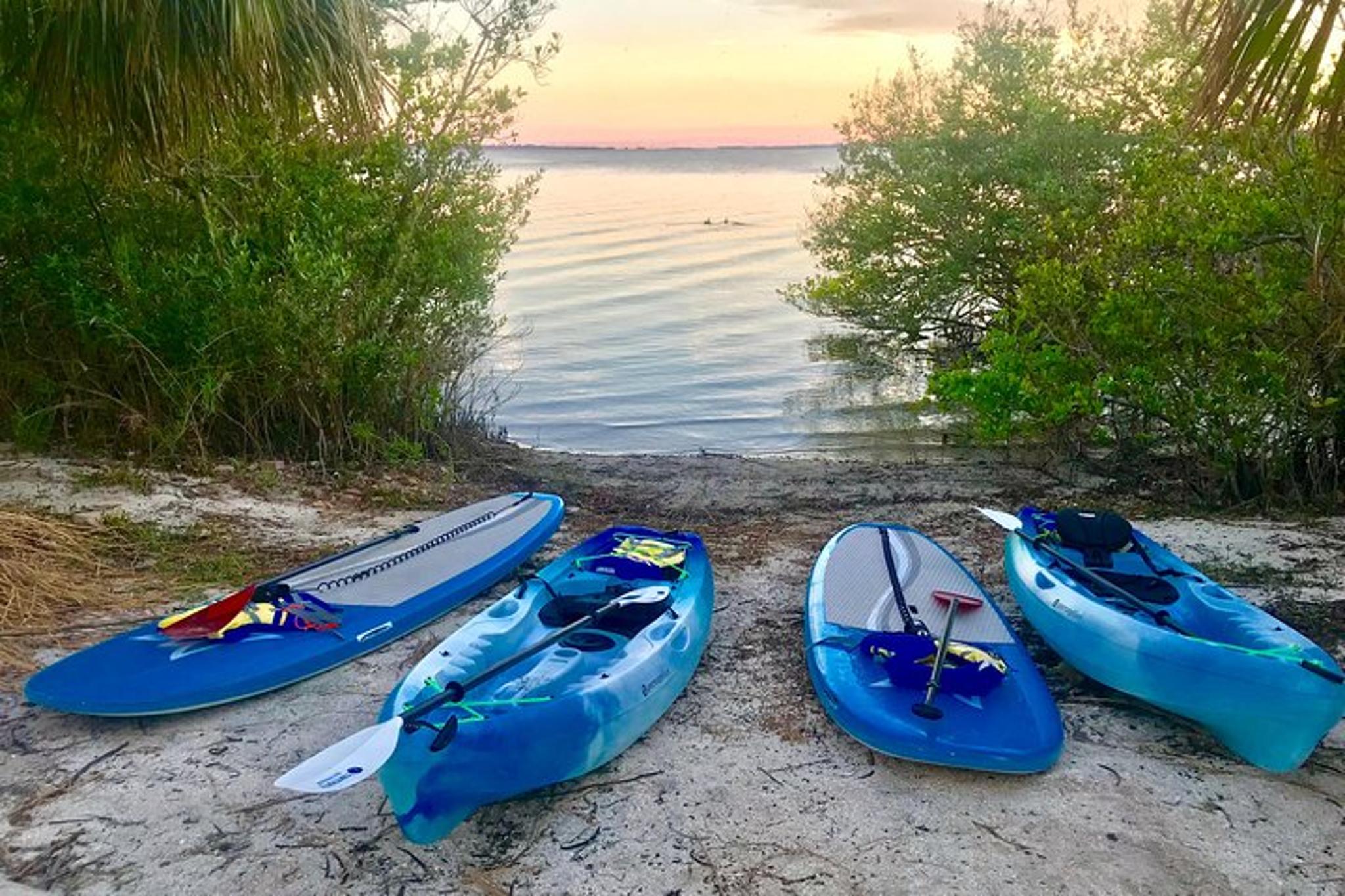 Banana River Paddle Board and Kayak Eco Tour - Image 3