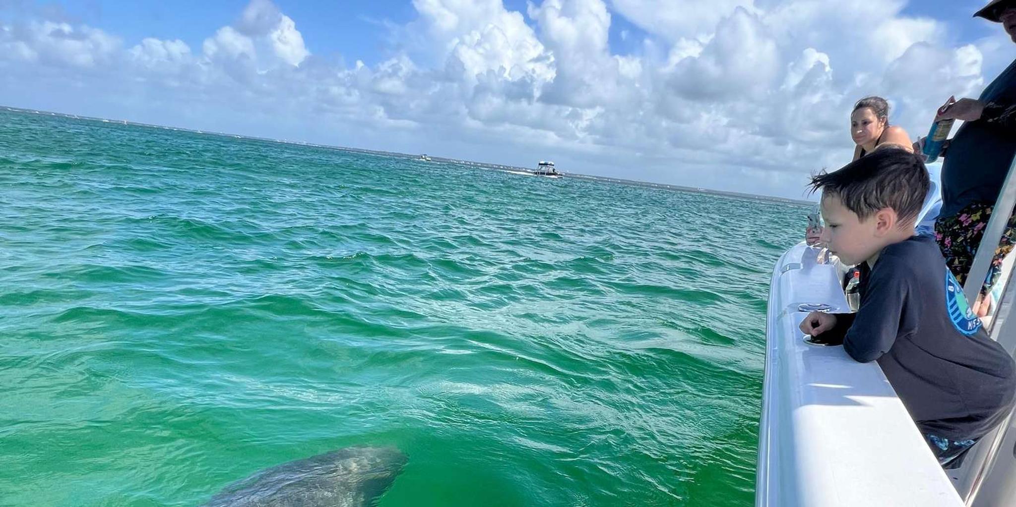 Destin Snorkeling and Dolphin Cruise - Image 5