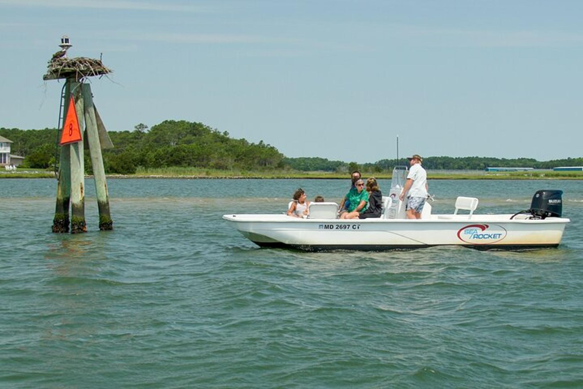 Ocean City Pony Cruise on Assateague Island - Image 5