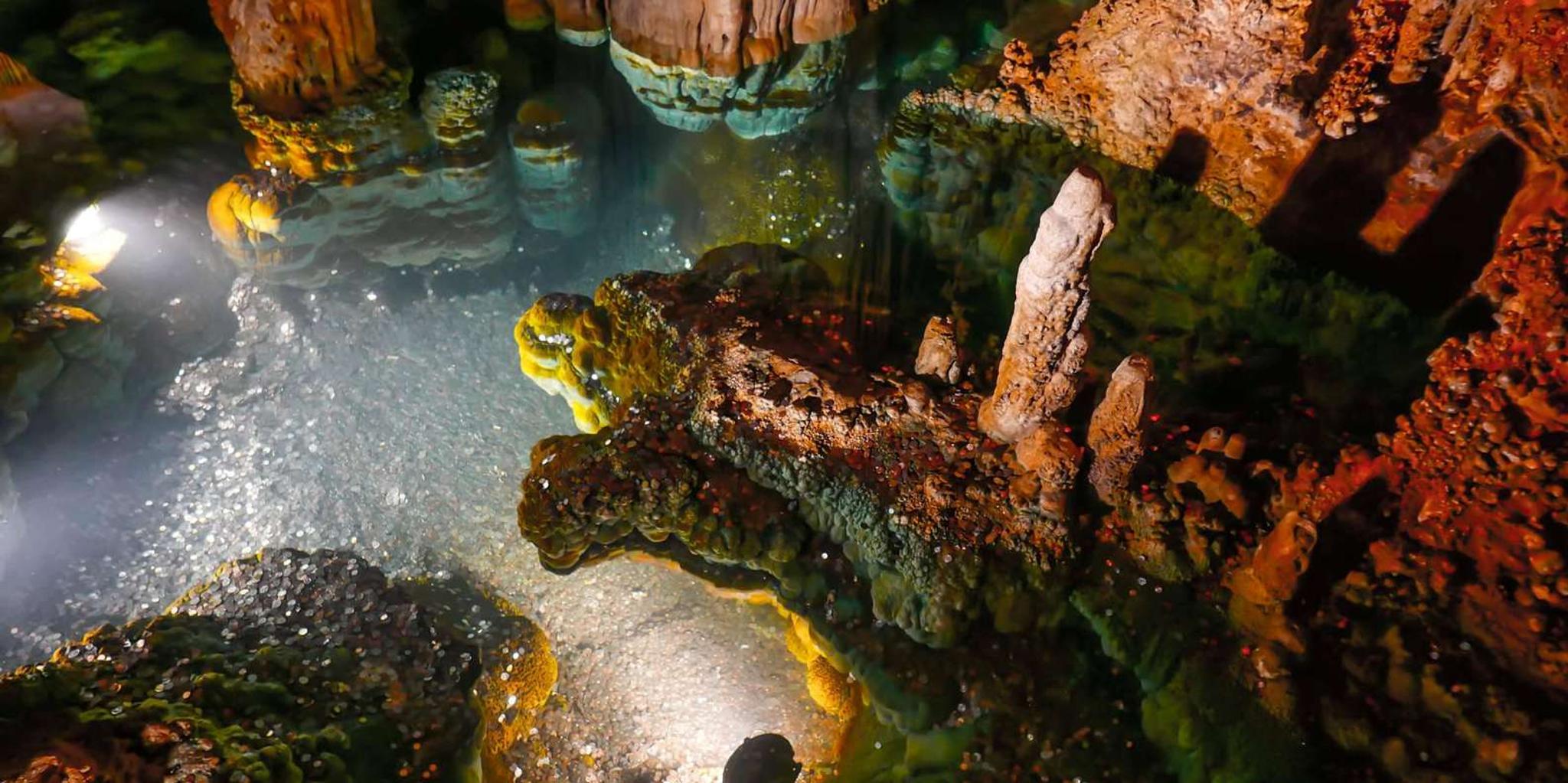 Washington DC Luray Caverns Day Trip - Image 3